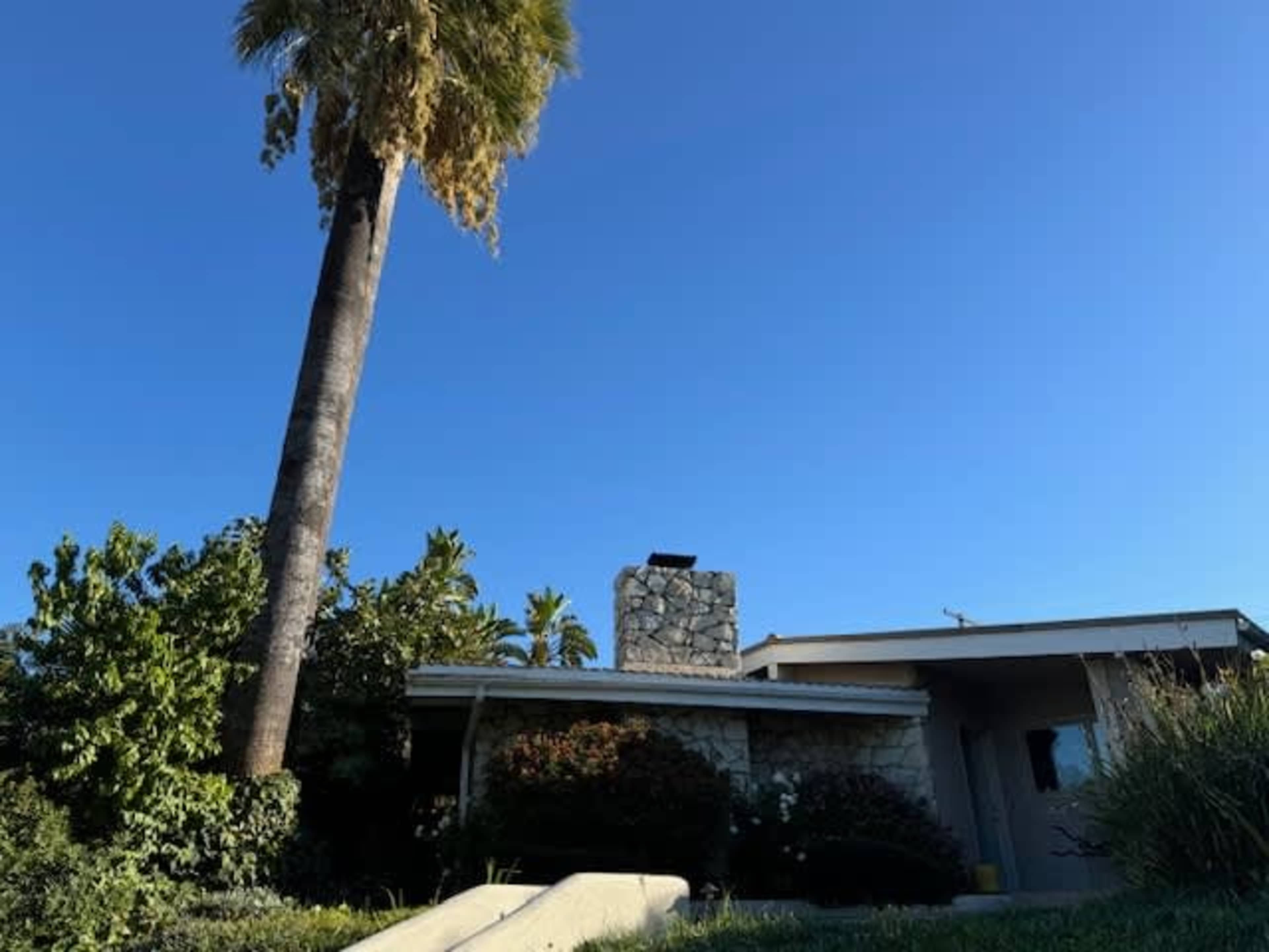 Mid-Century home with Pool. Vintage Gem. Image in Northridge, northridge, CA