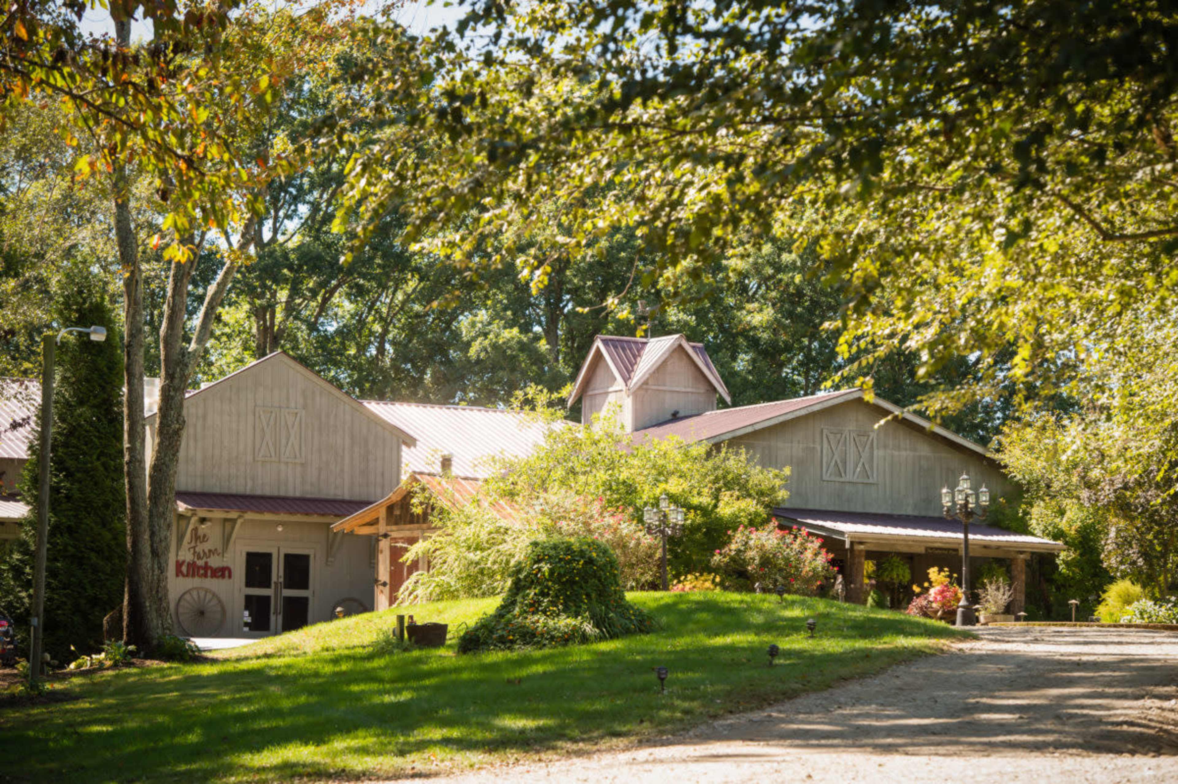 A rustic building with a sloped roof and surrounding greenery is set in a tranquil, natural environment.
