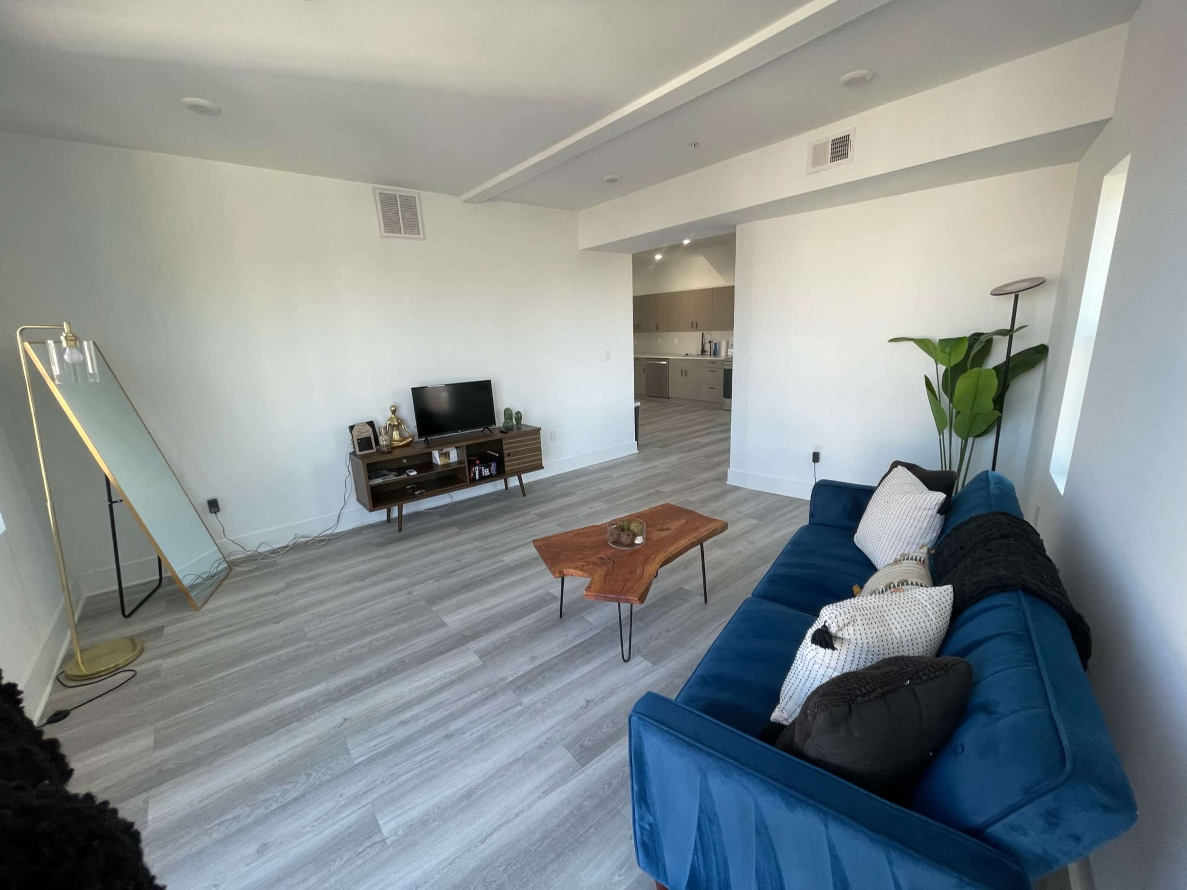 A spacious, modern living room featuring a blue couch, a wooden coffee table, a television on a stand, and a large plant, with a kitchen visible in the background.