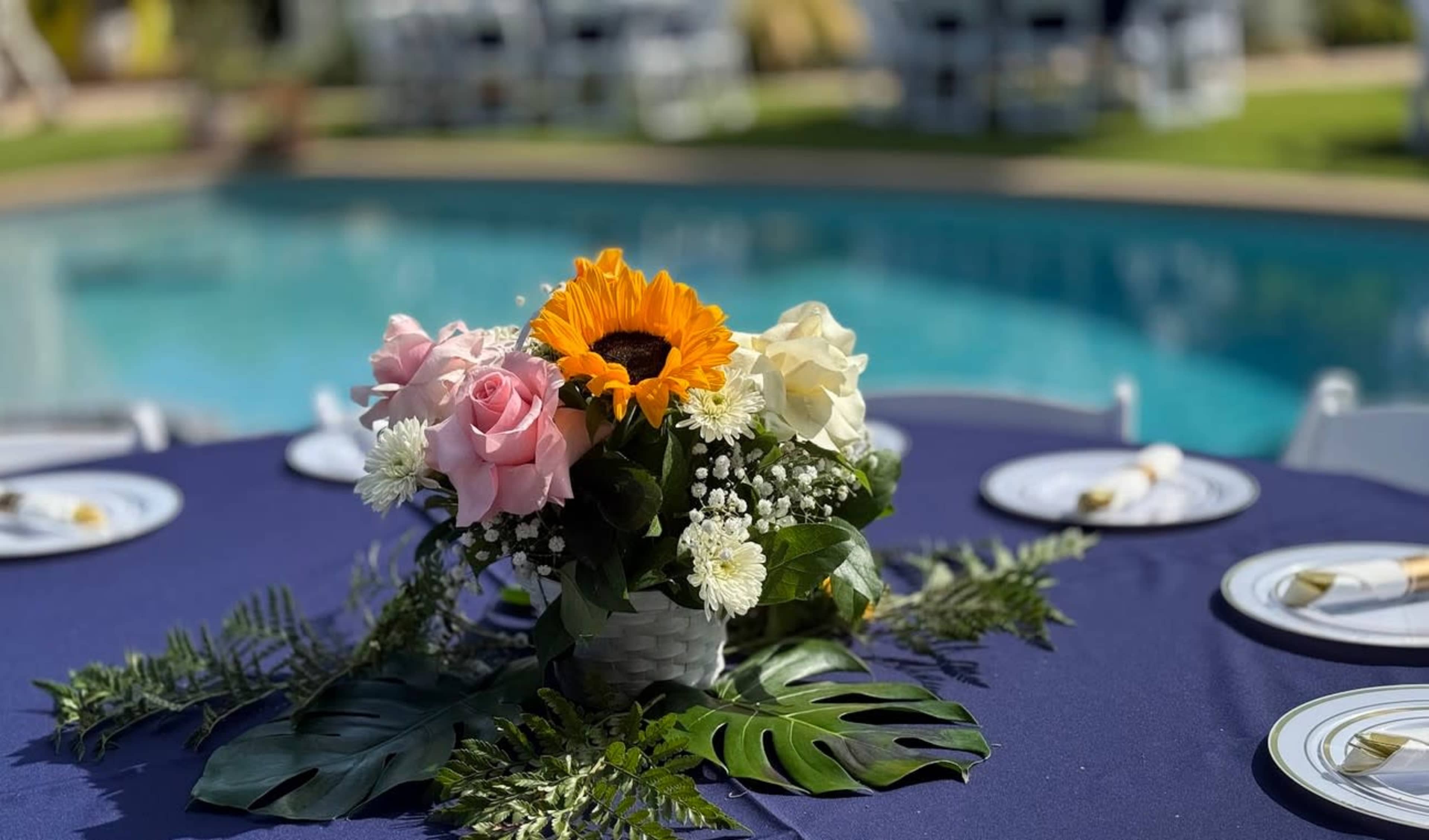 A Soulful Outdoor Oasis in the San Fernando Valley Image in North Hills, North Hills, CA