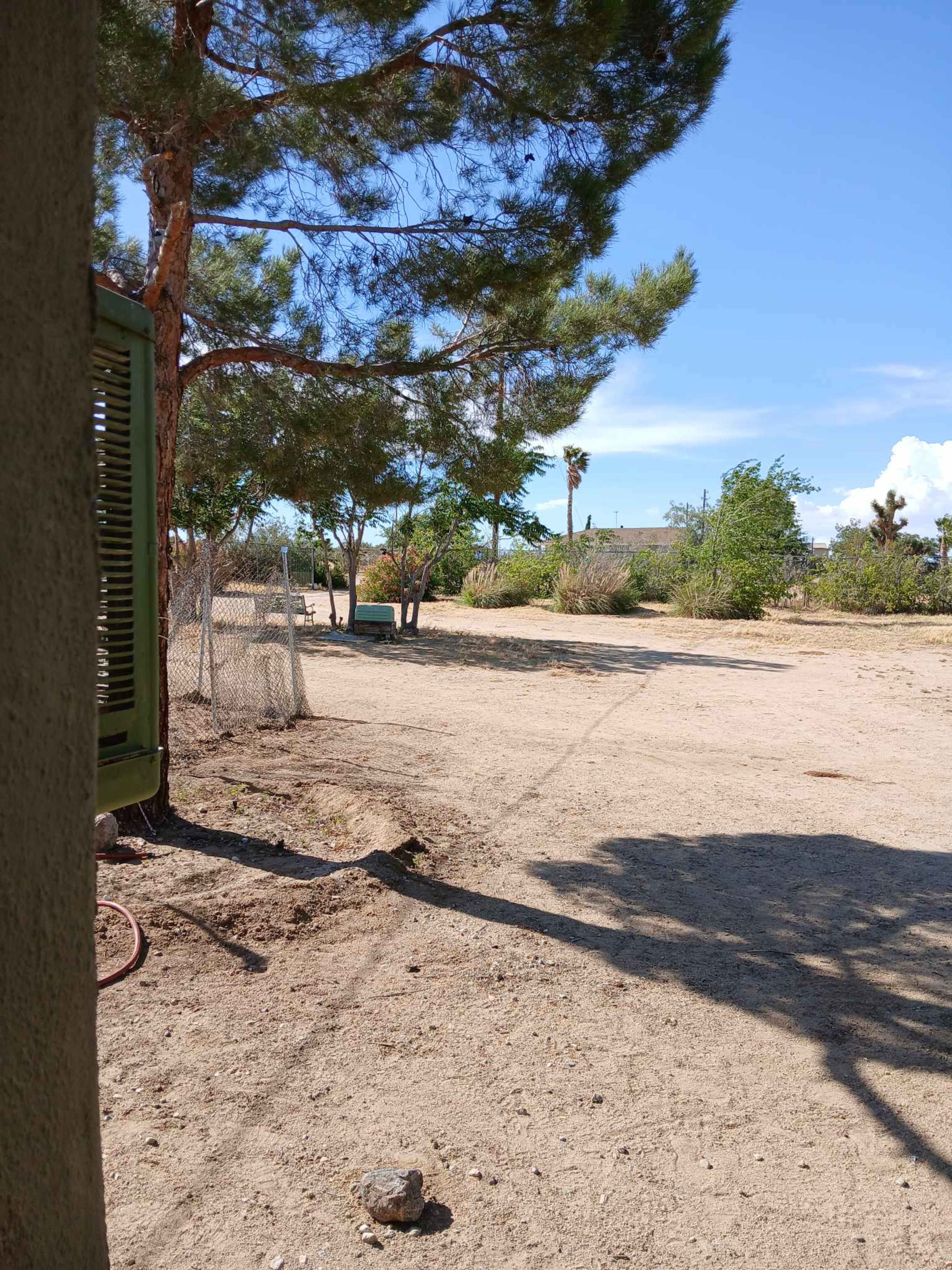 The image shows a dry, sandy area with sparse vegetation and trees, leading to a distant view of buildings under a clear sky.
