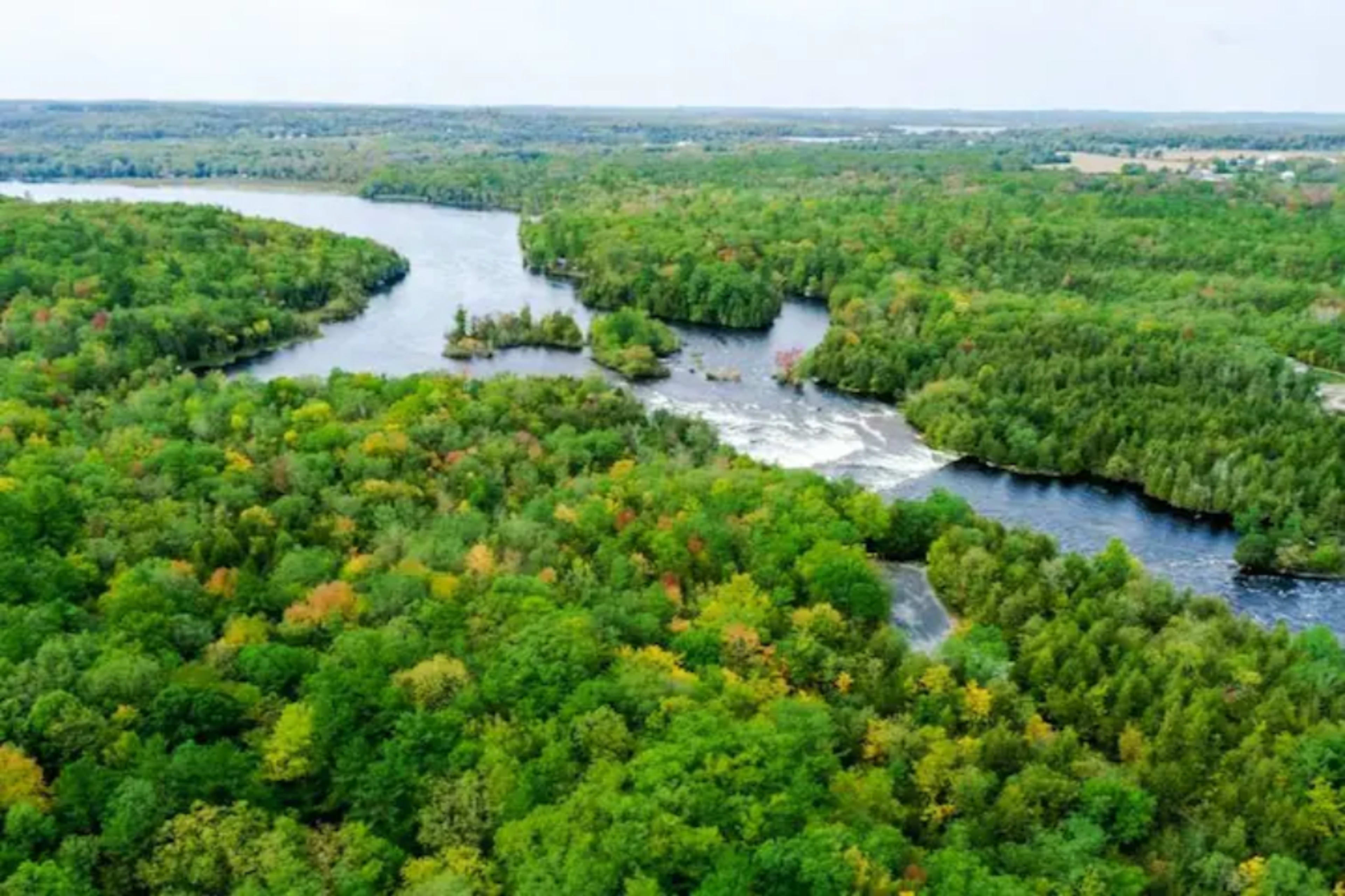 Aerial view of a winding river surrounded by dense green forest with patches of autumn colors.