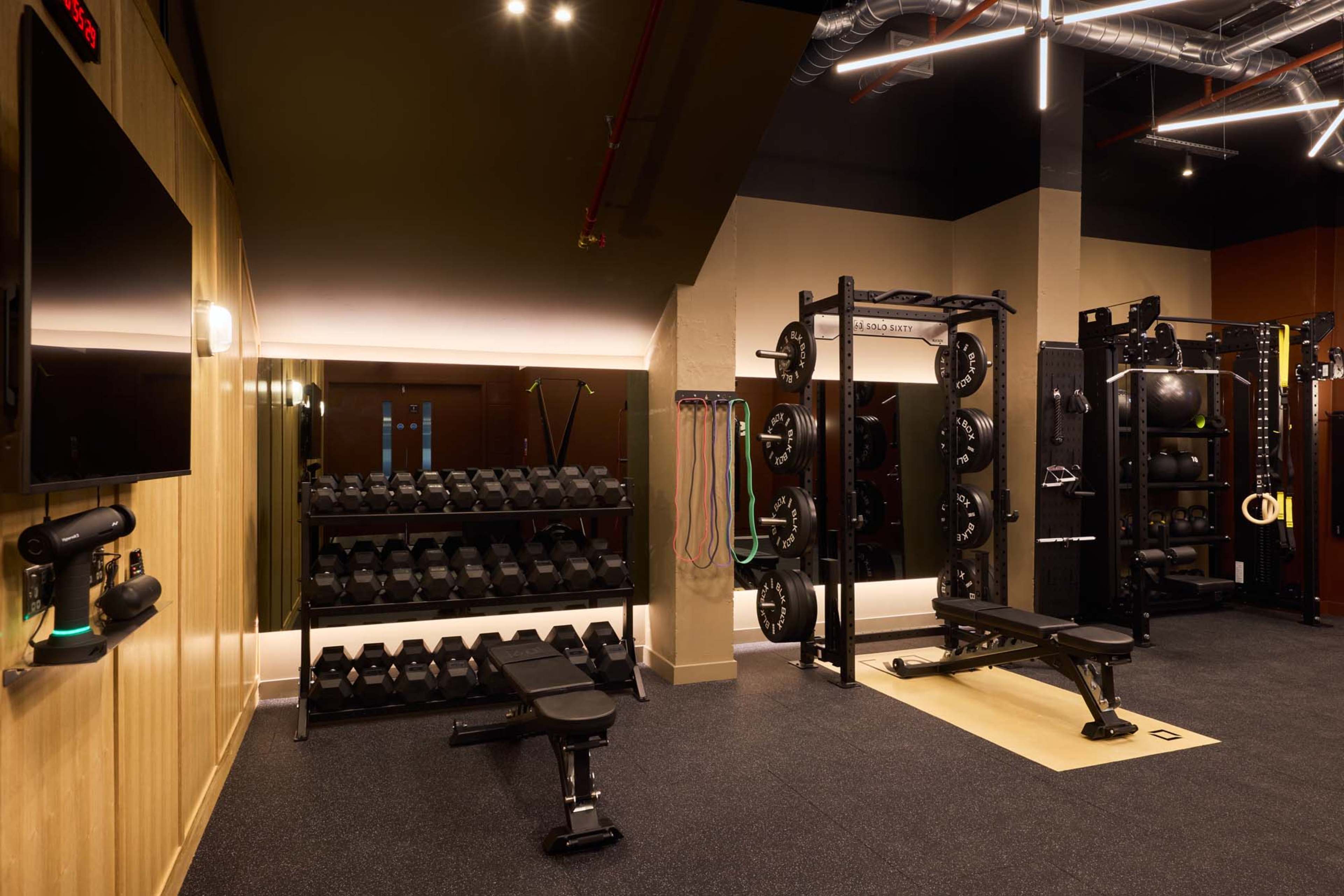 The image shows a well-equipped gym featuring a rack of dumbbells, weight benches, resistance bands, and a squat rack.