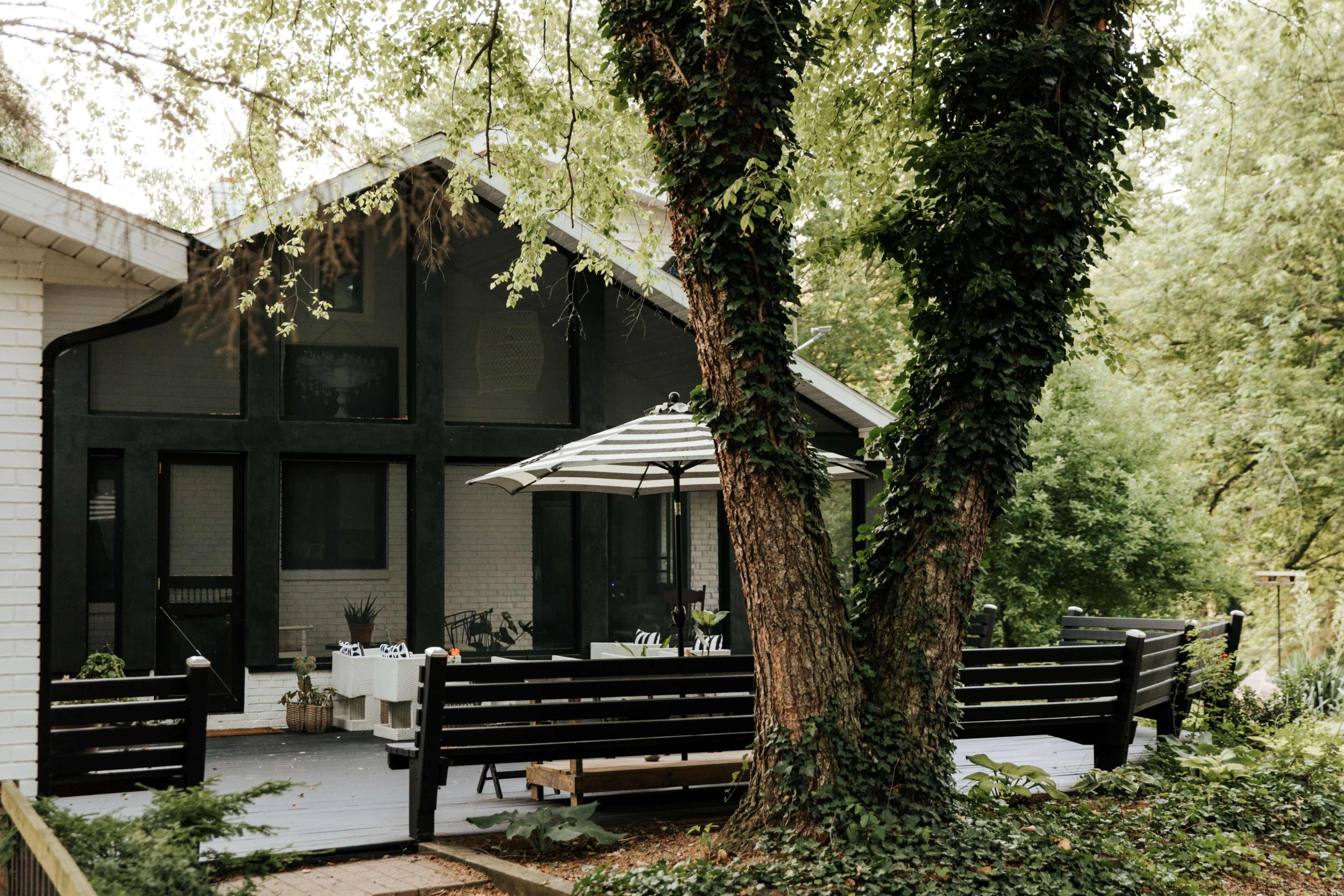 A modern house with large windows and a deck is surrounded by trees and greenery.