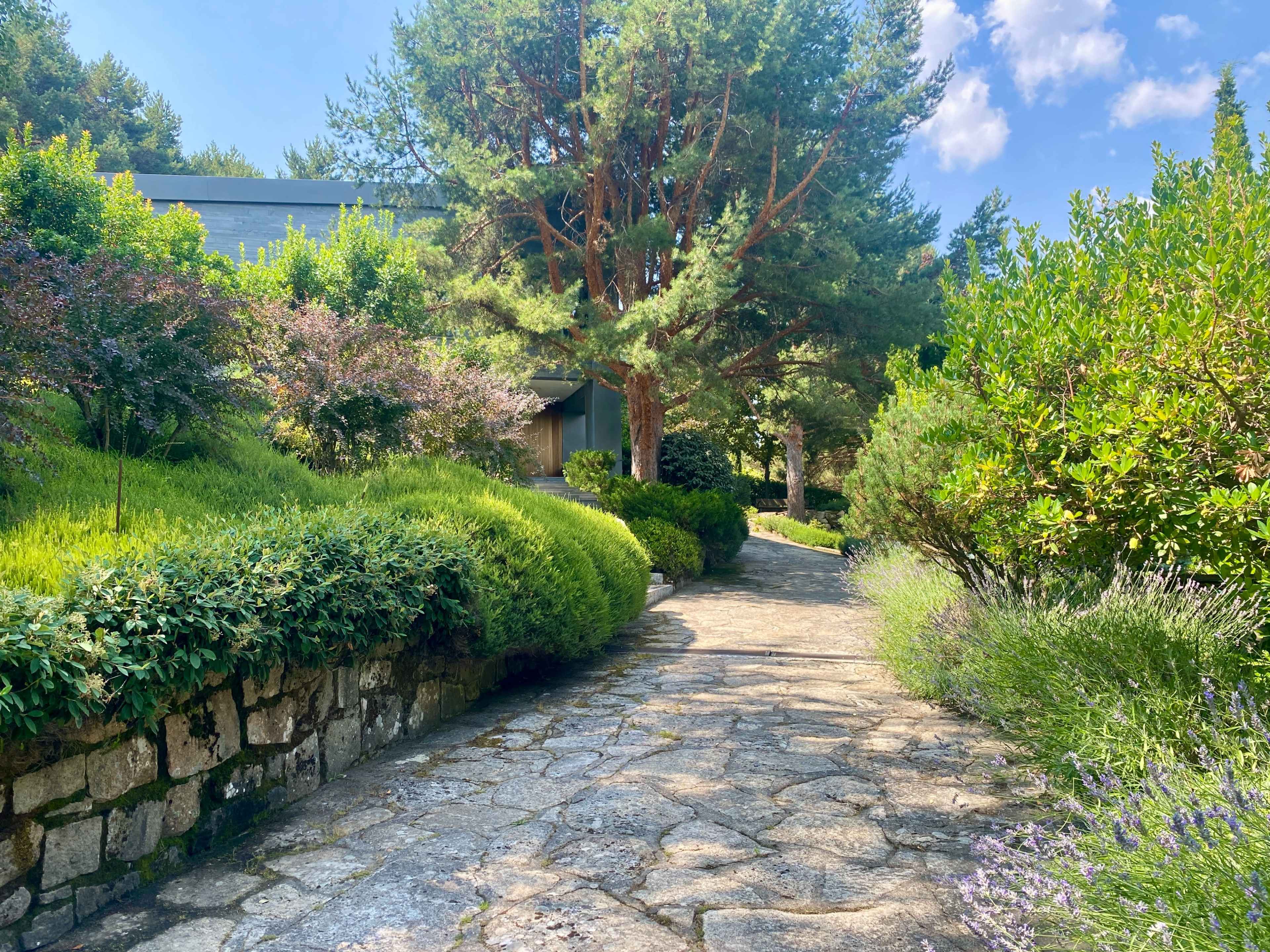 A stone pathway winds through a lush garden filled with various plants and trees under a blue sky.