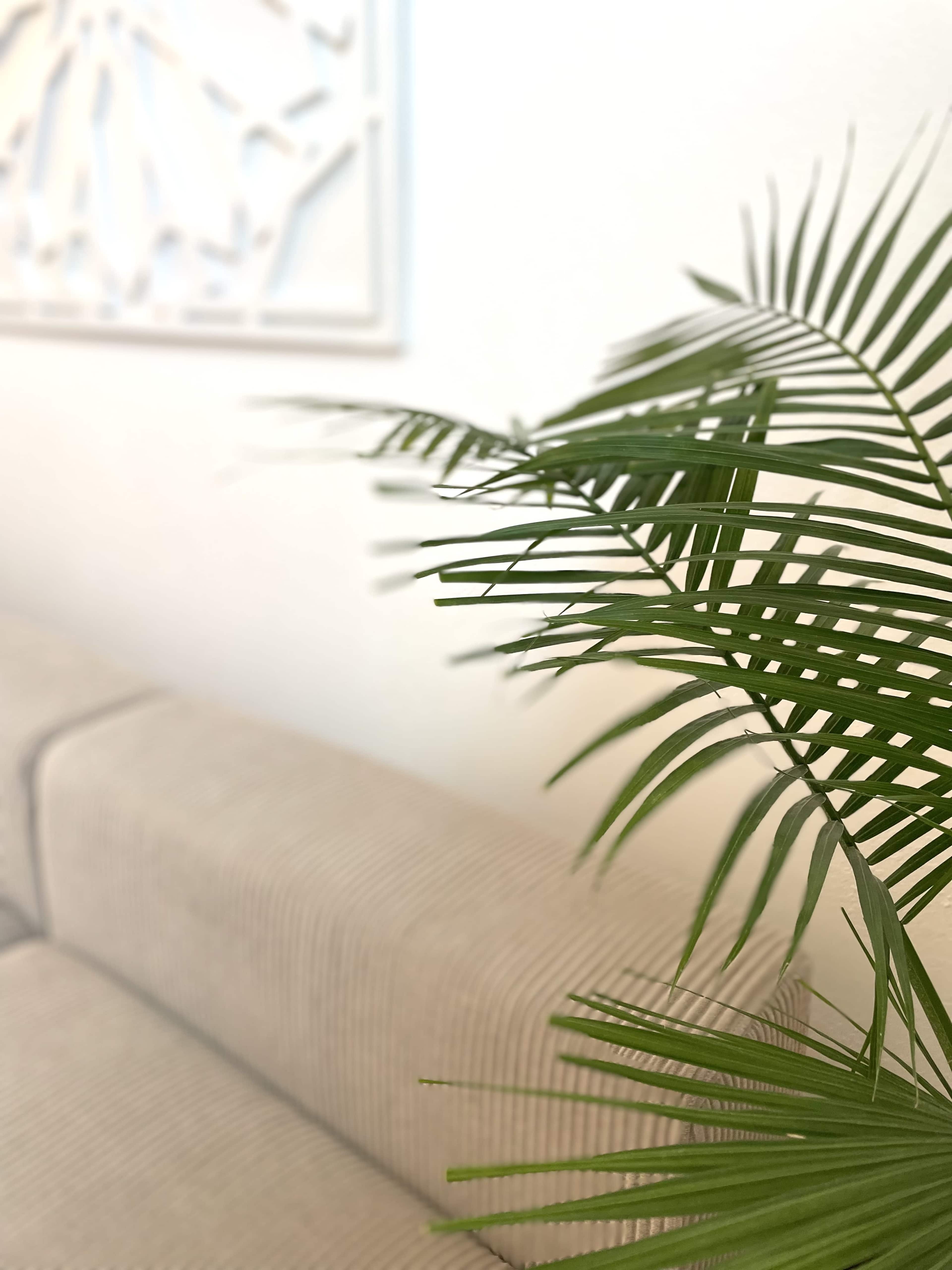 A green plant is positioned in front of a light-colored sofa, with a textured wall art piece visible in the background.