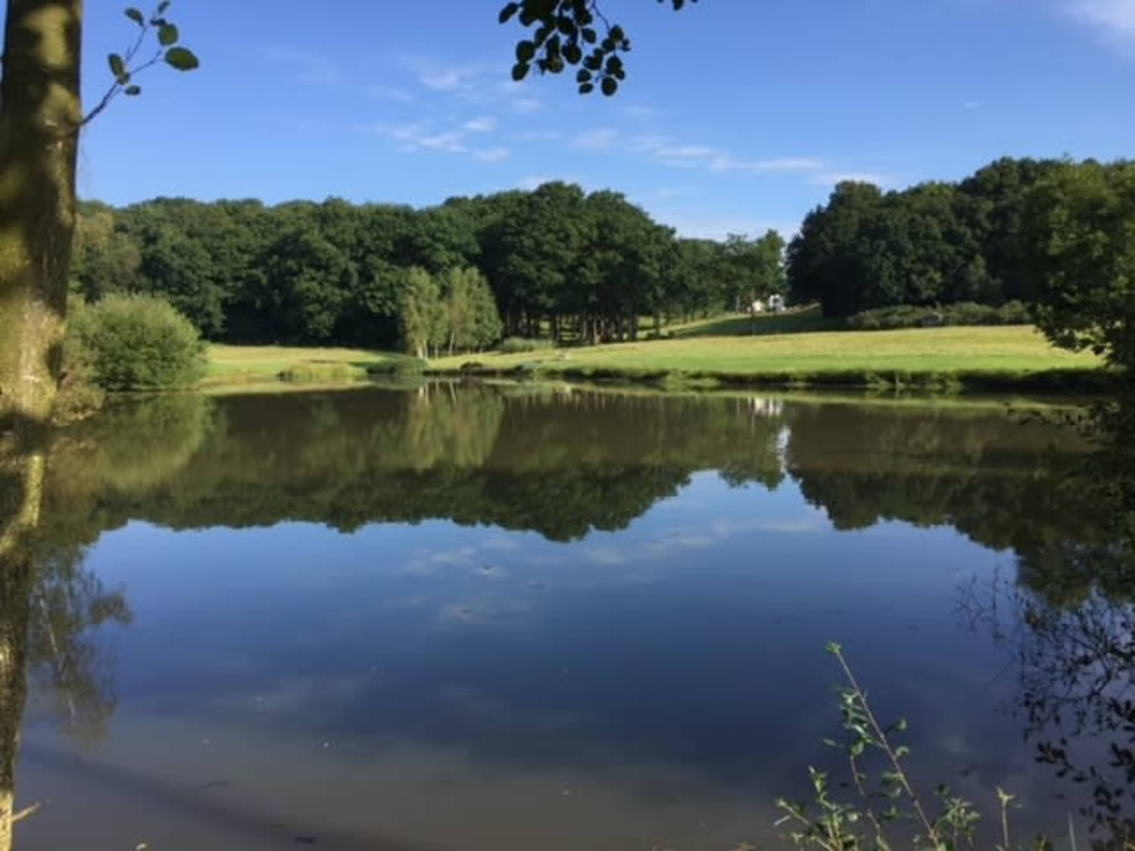 A tranquil pond reflects trees and greenery under a clear blue sky.