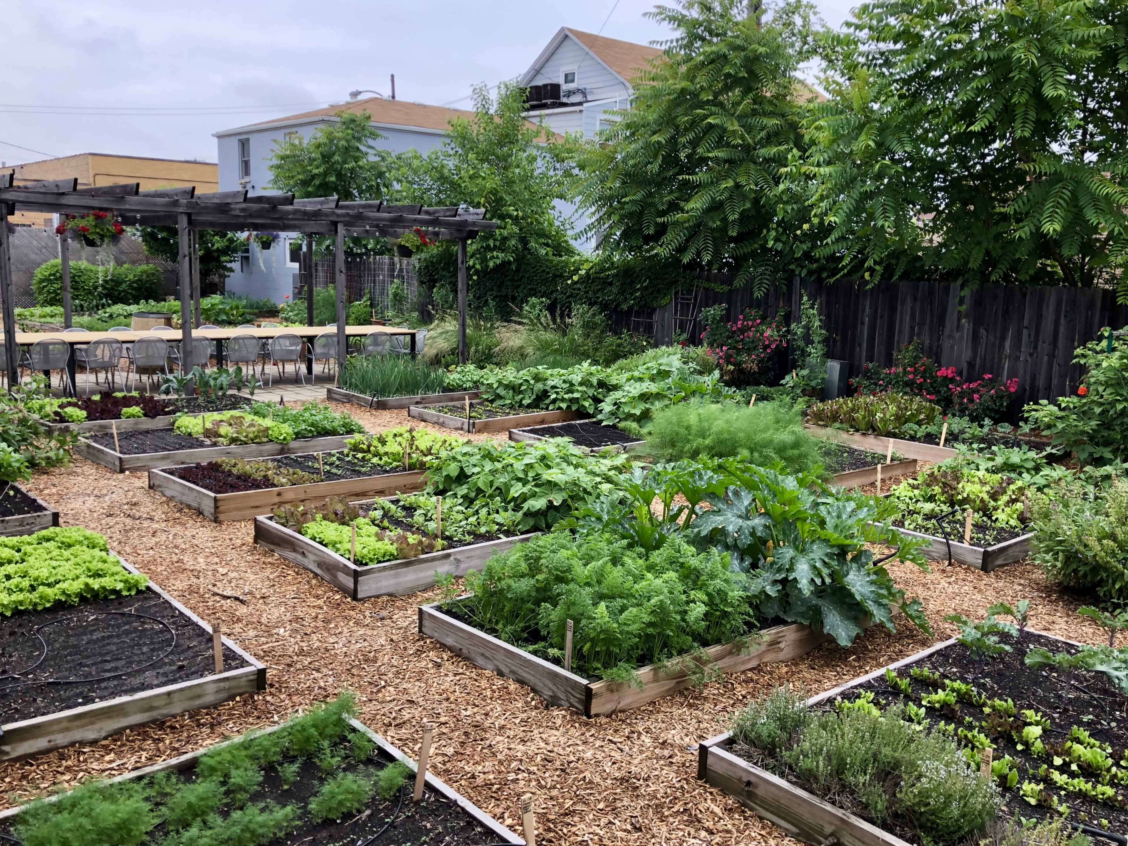 Urban Farm & Industrial-Chic Event Space in West Town Image in West Town, Chicago, IL