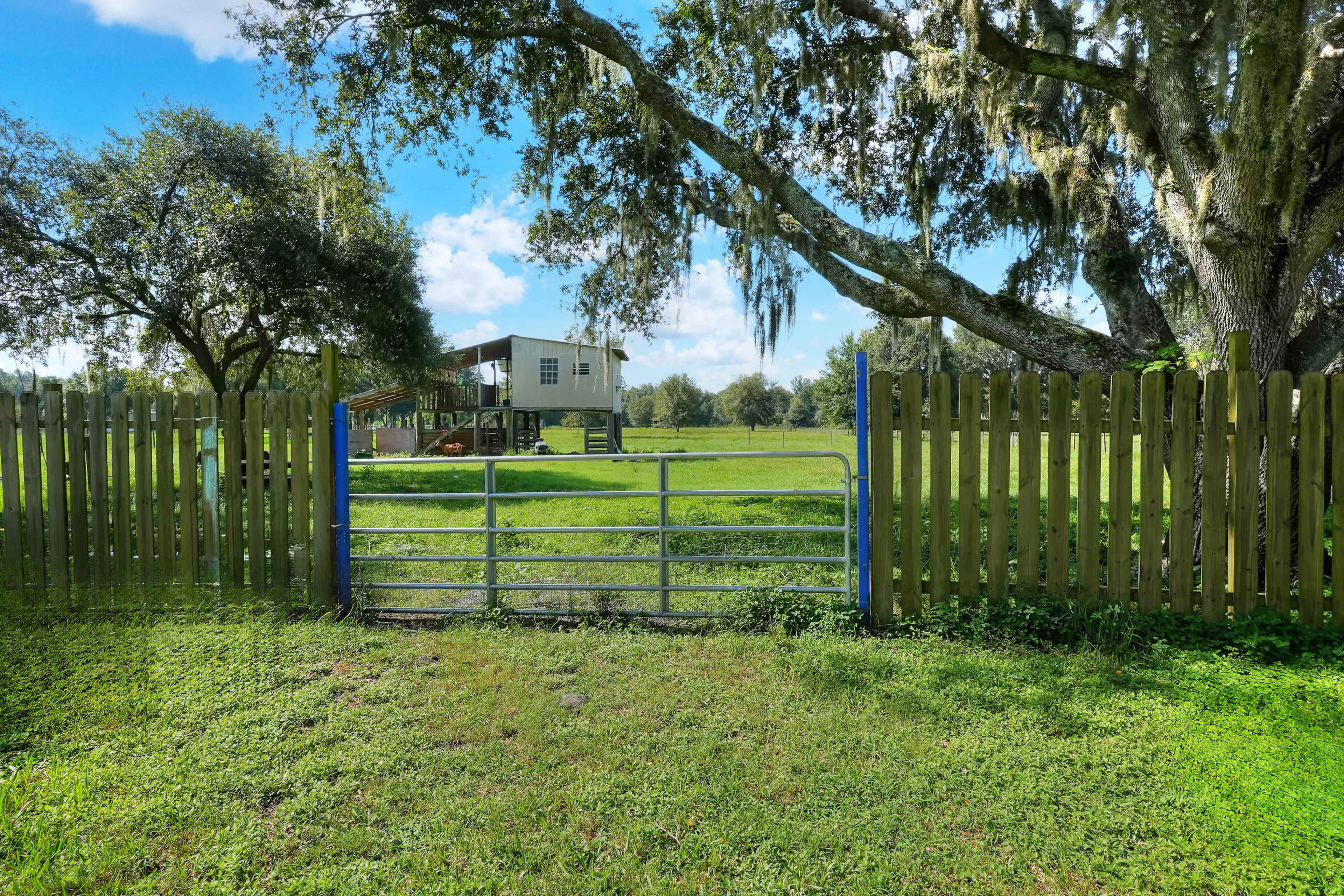 A metal gate opens onto a grassy area with a house on stilts and large trees in the background.