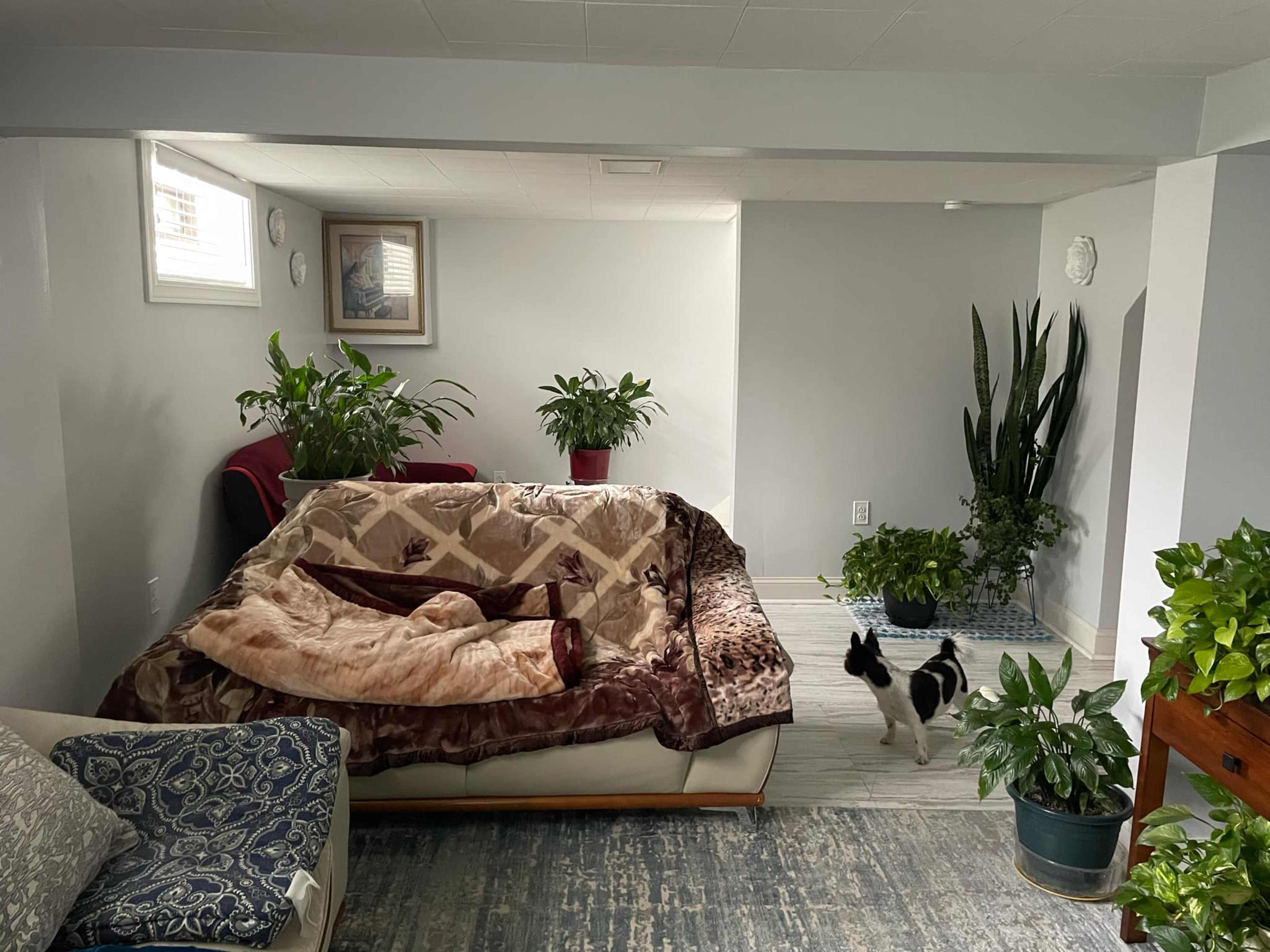 5 minute walk to the Forest preserve. 10 minute drive to Lake Michigan. 10 minute drove to Wolf Lake Indiana. Image in South Side, Chicago, IL