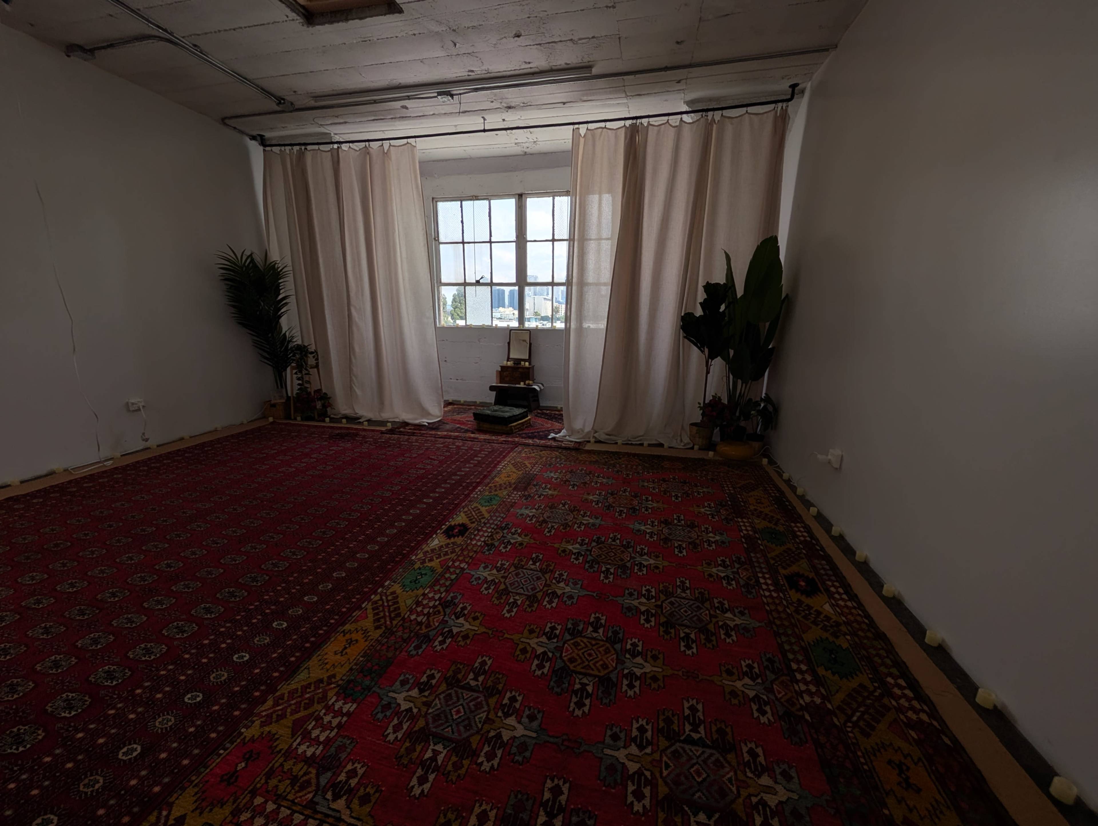 The image shows a spacious room with a patterned rug, plants, and sheer curtains framing a large window.
