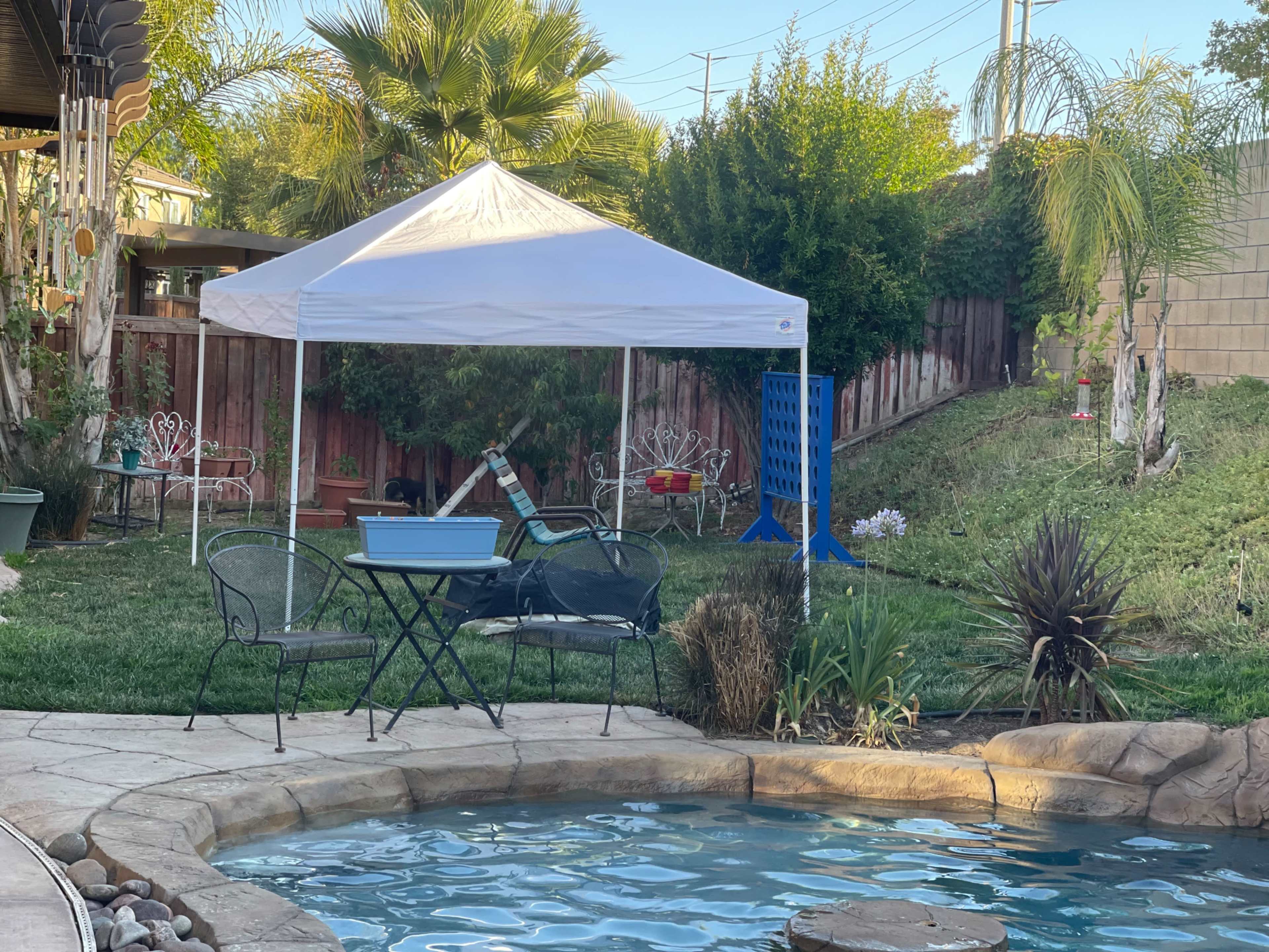 A white canopy is set up near a swimming pool in a backyard, surrounded by grass and various plants.