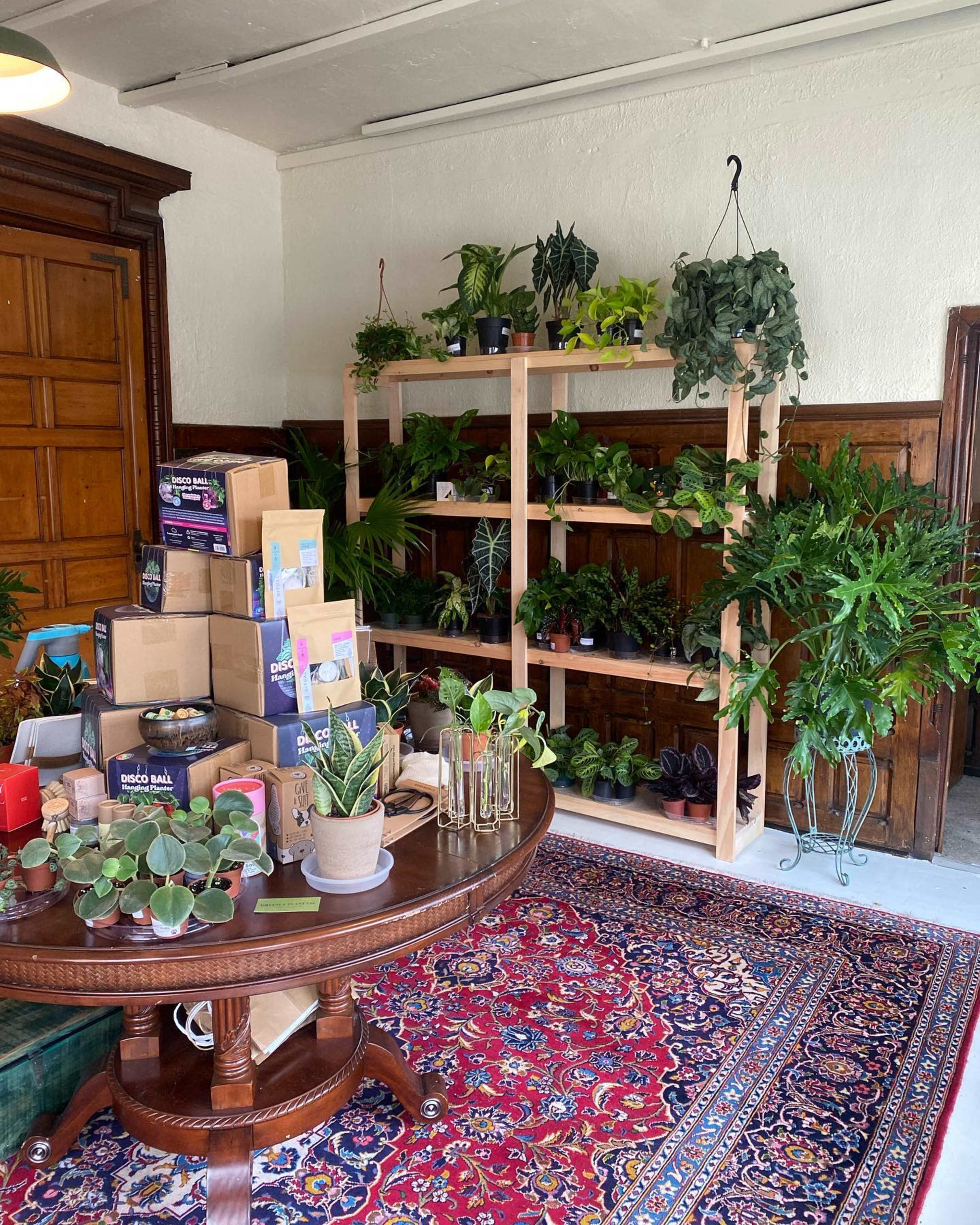 The image shows a cozy indoor space with a wooden shelf displaying various potted plants, a round table with several boxes and decorative items, and a vibrant area rug on the floor.