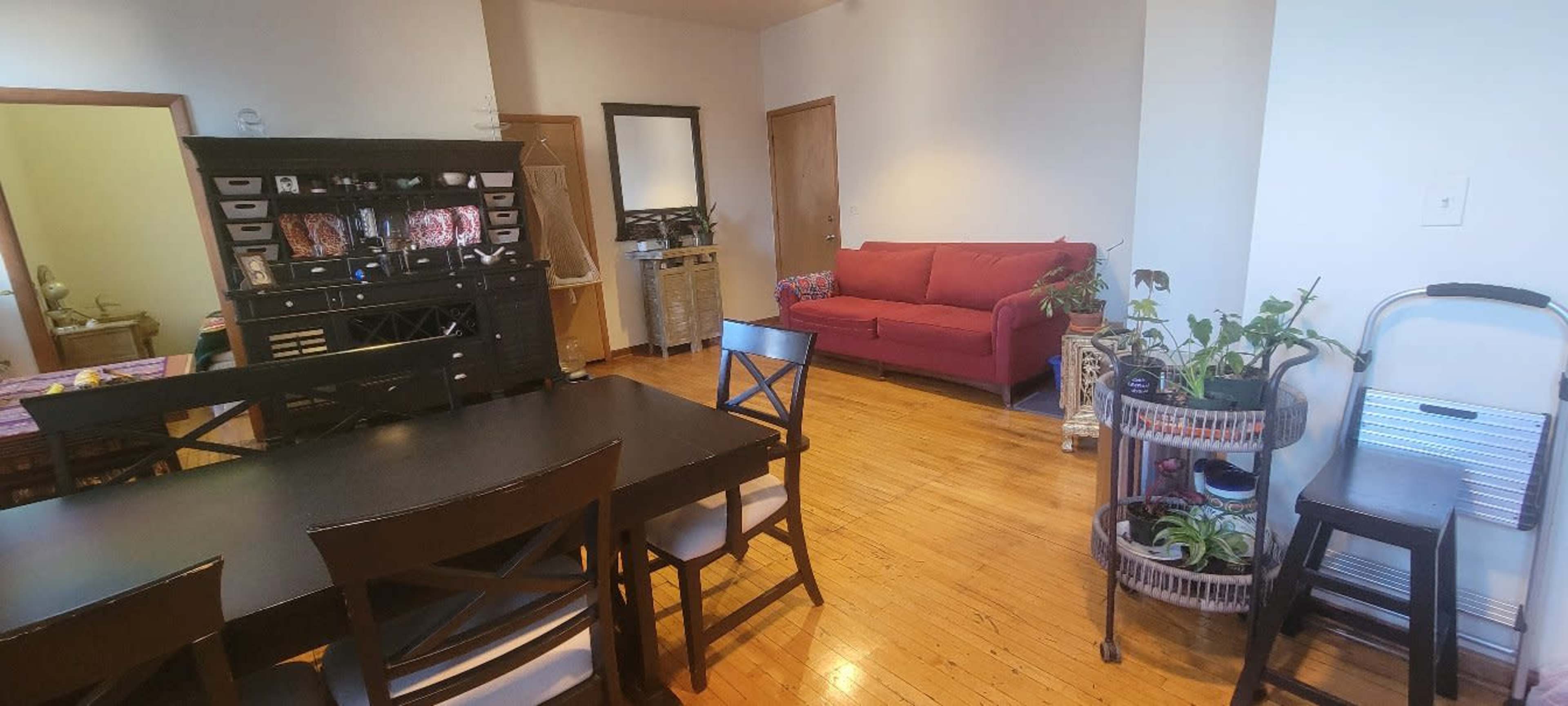 A living space featuring a black dining table with chairs, a red sofa in the corner, a small trolley with plants, and a black cabinet against the wall.