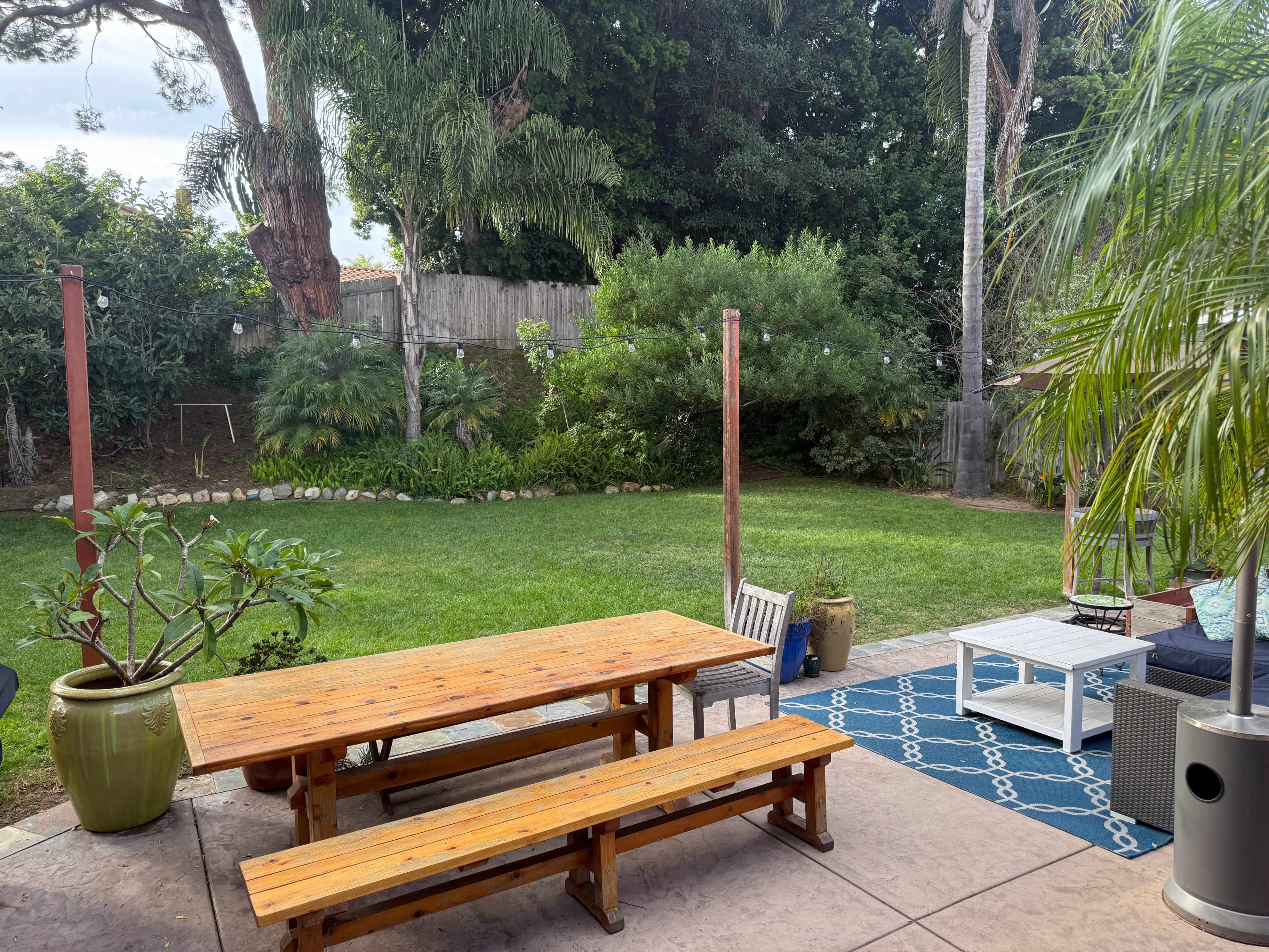 Verdant Green Backyard with palm trees, grass, and privacy! Image in Del Mar Heights, Del Mar, CA
