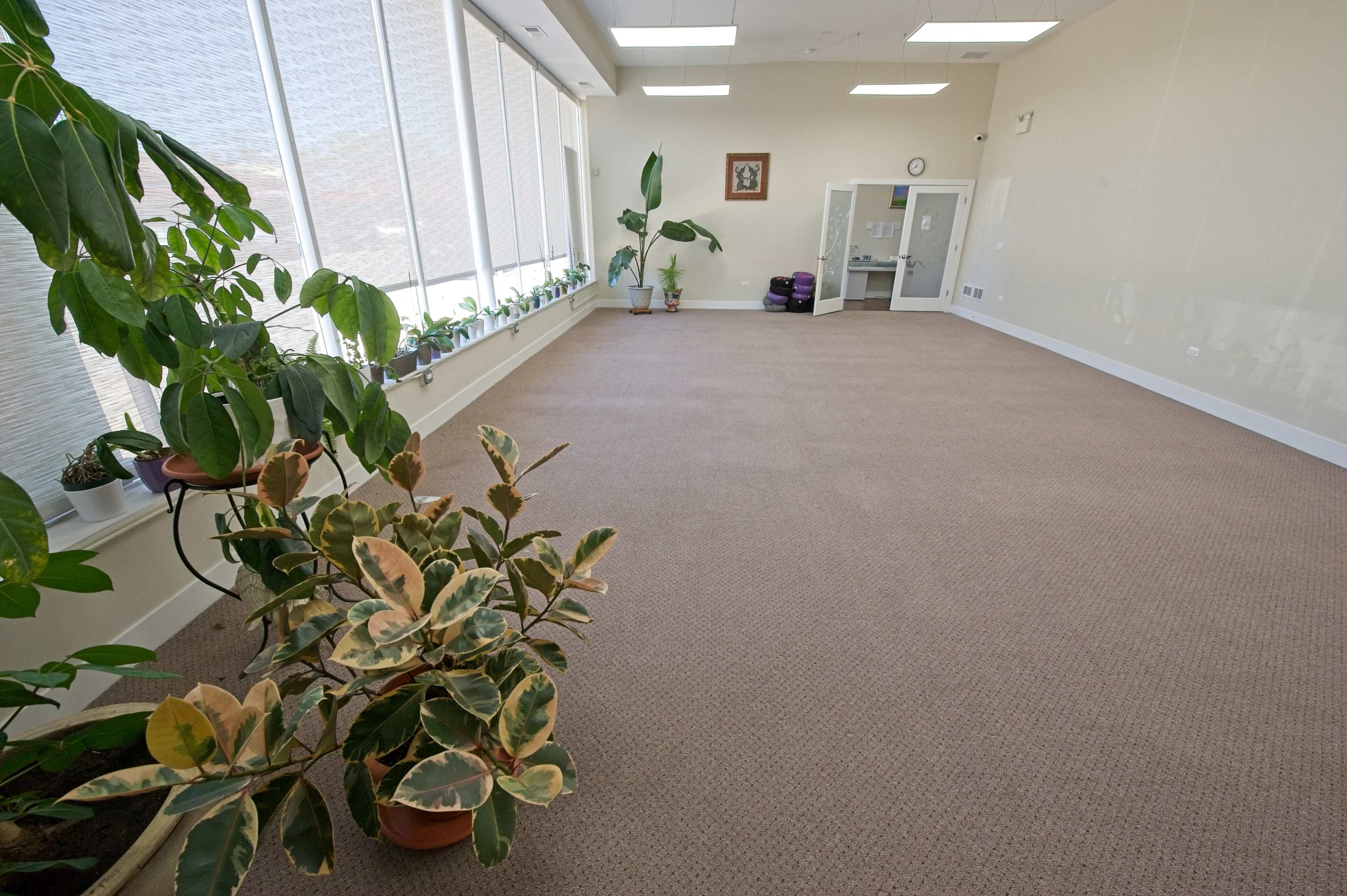 The image shows an empty room with large windows, plants along the walls, and carpeted flooring.
