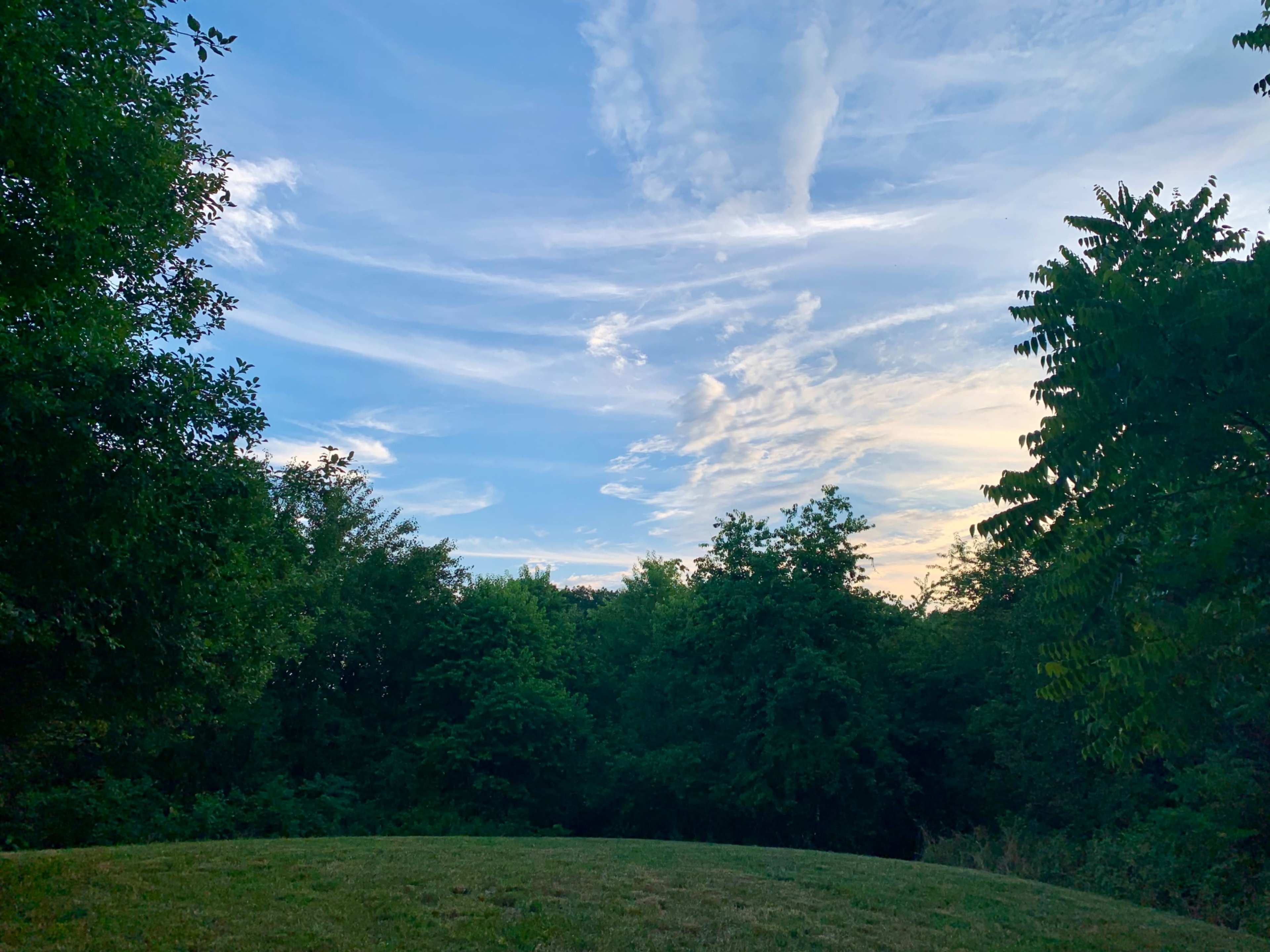A grassy mound is surrounded by trees under a sky with scattered clouds at dusk.