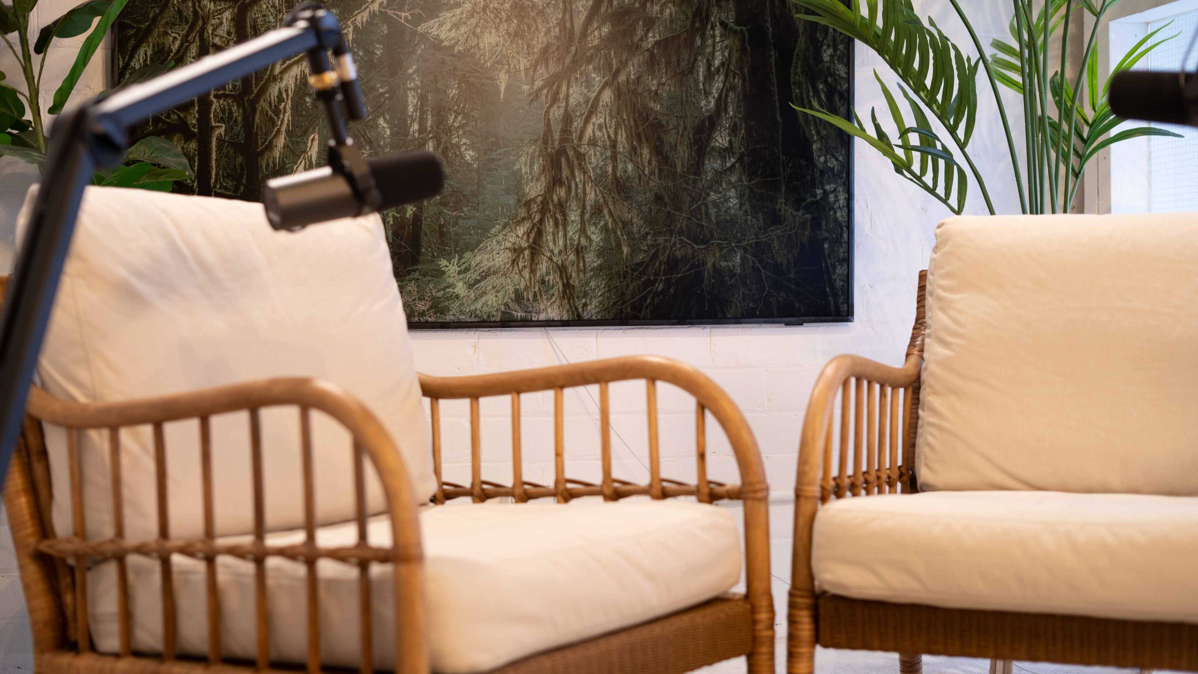 Two rattan chairs with white cushions positioned in a brightly lit room featuring a large nature-themed artwork and a potted plant in the background.