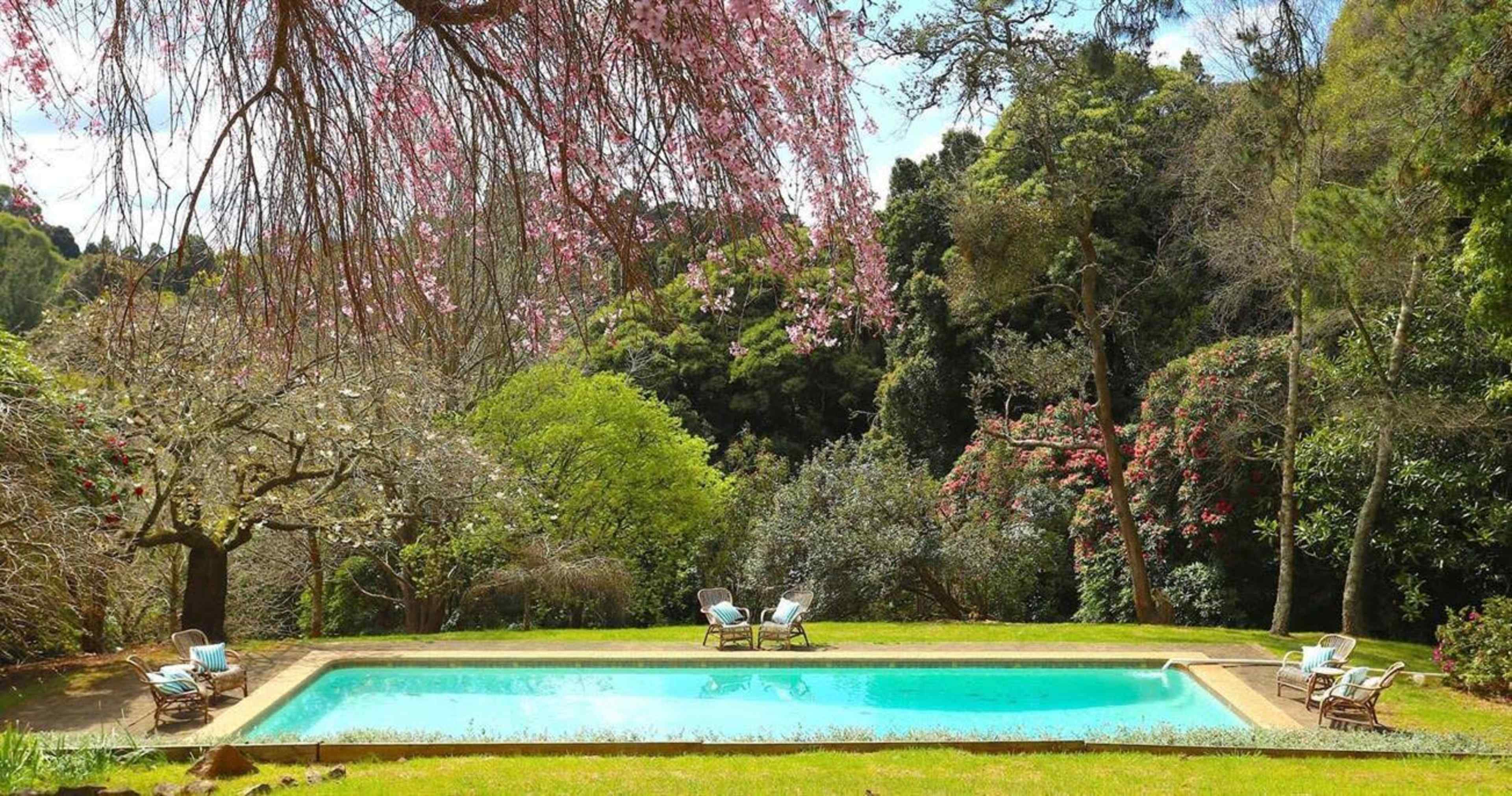 A serene swimming pool is surrounded by lush greenery and blooming trees.