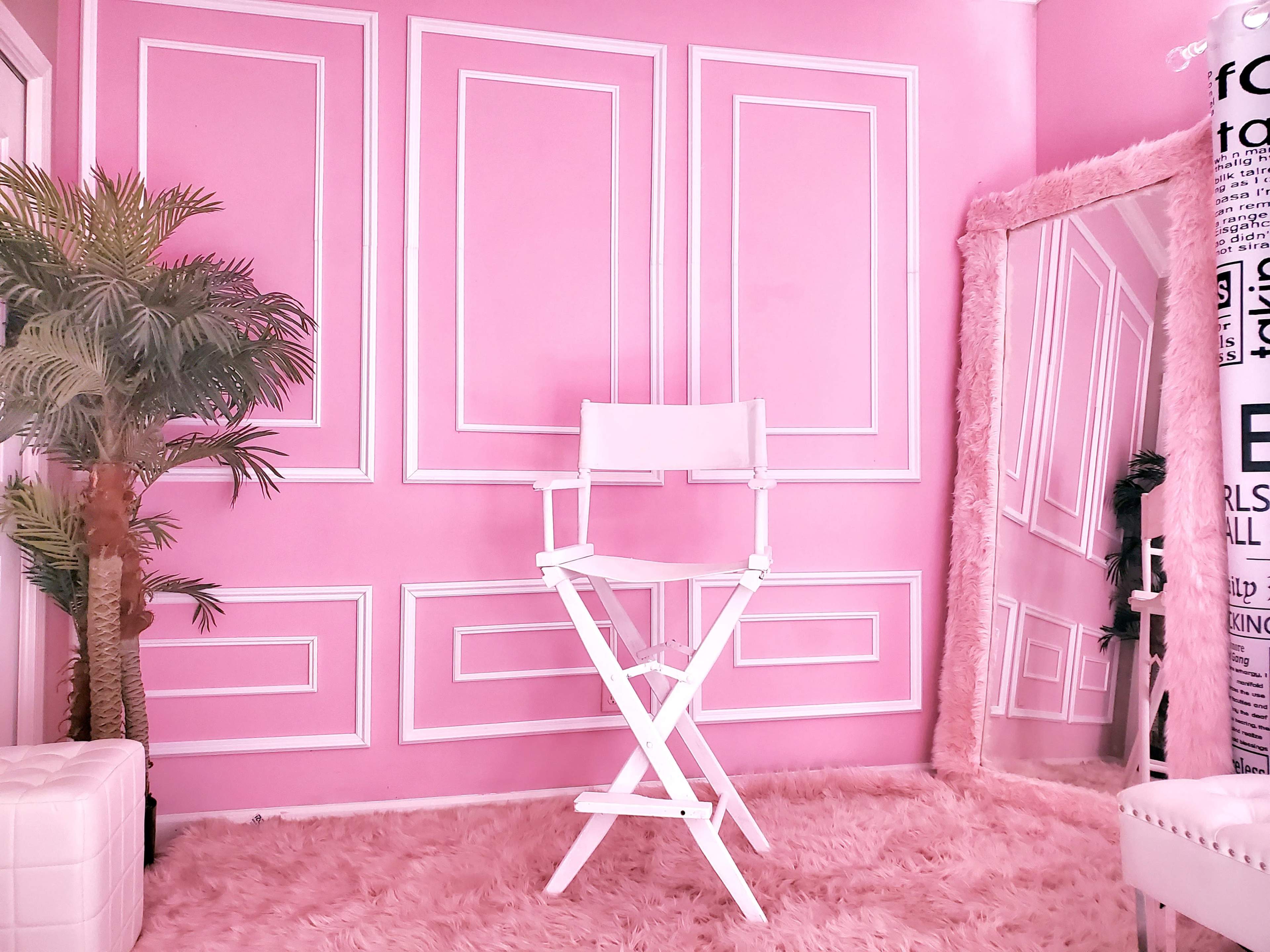The image shows a pink room with white paneling, featuring a director's chair in the center, a large mirror, a potted palm tree, and a fluffy rug on the floor.