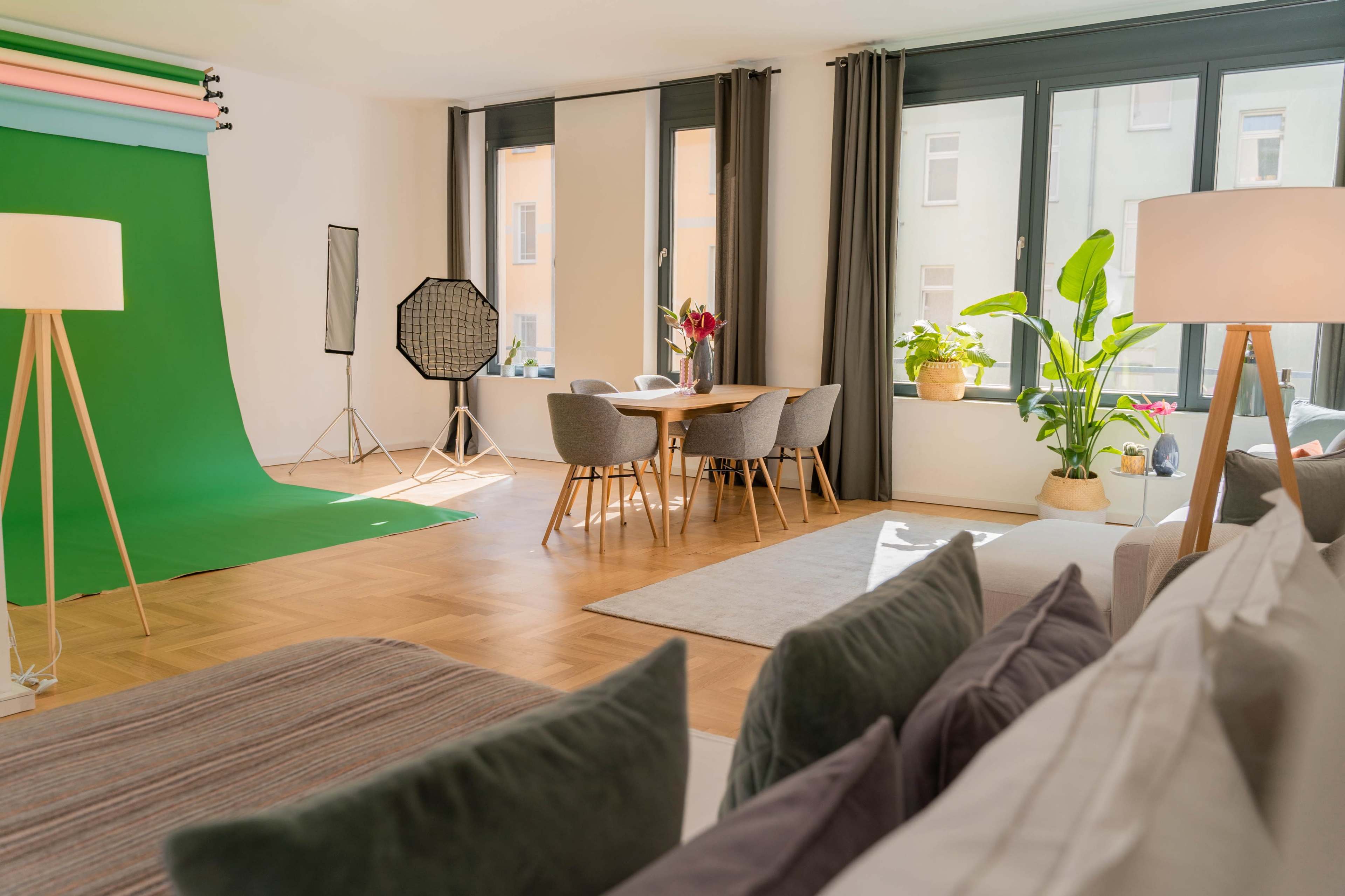 A bright interior studio space featuring a green backdrop, a dining table, and several plants.