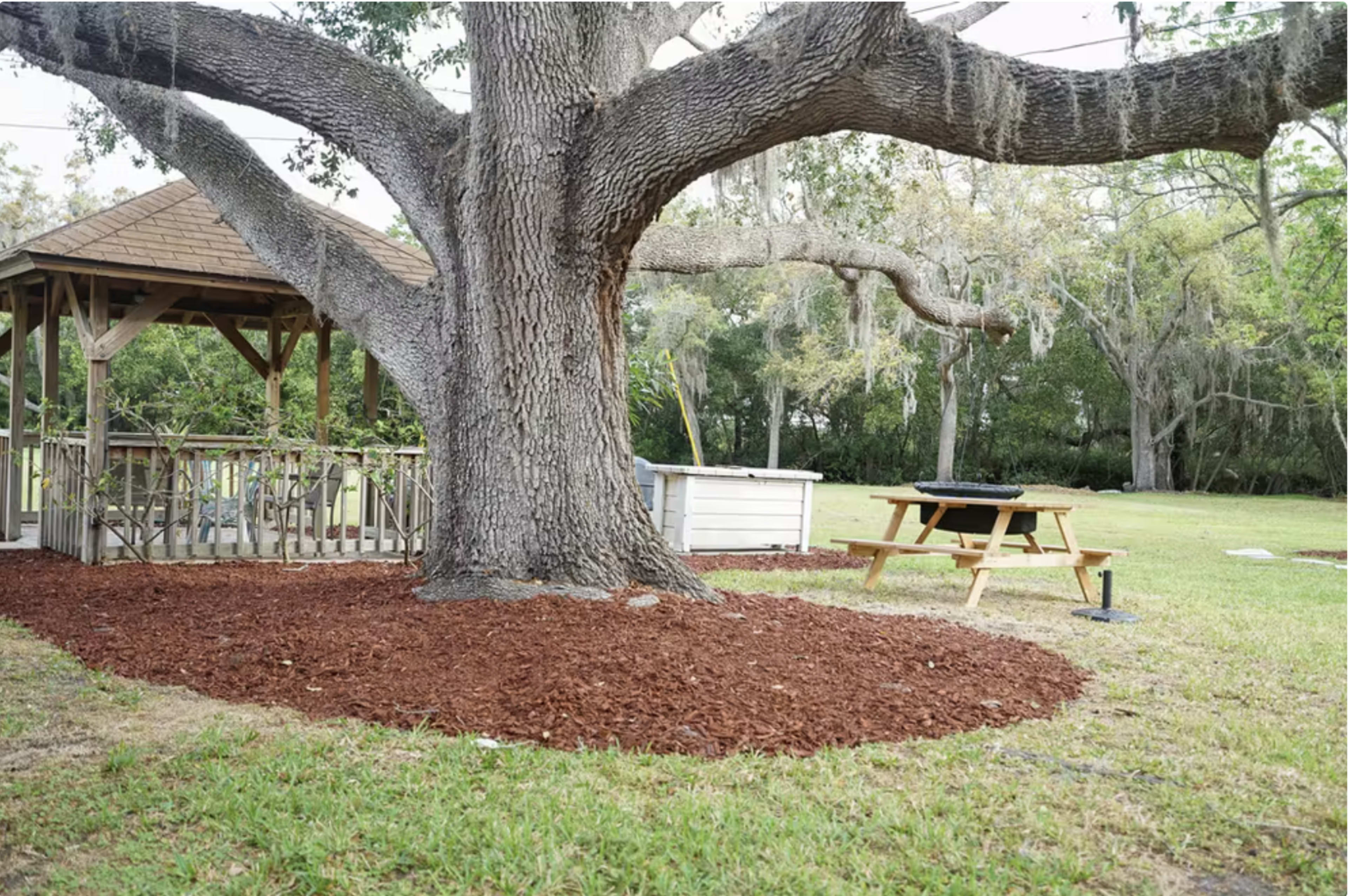 A large tree with a wide trunk provides shade over a mulched area adjacent to a gazebo and a picnic table in a grassy yard.