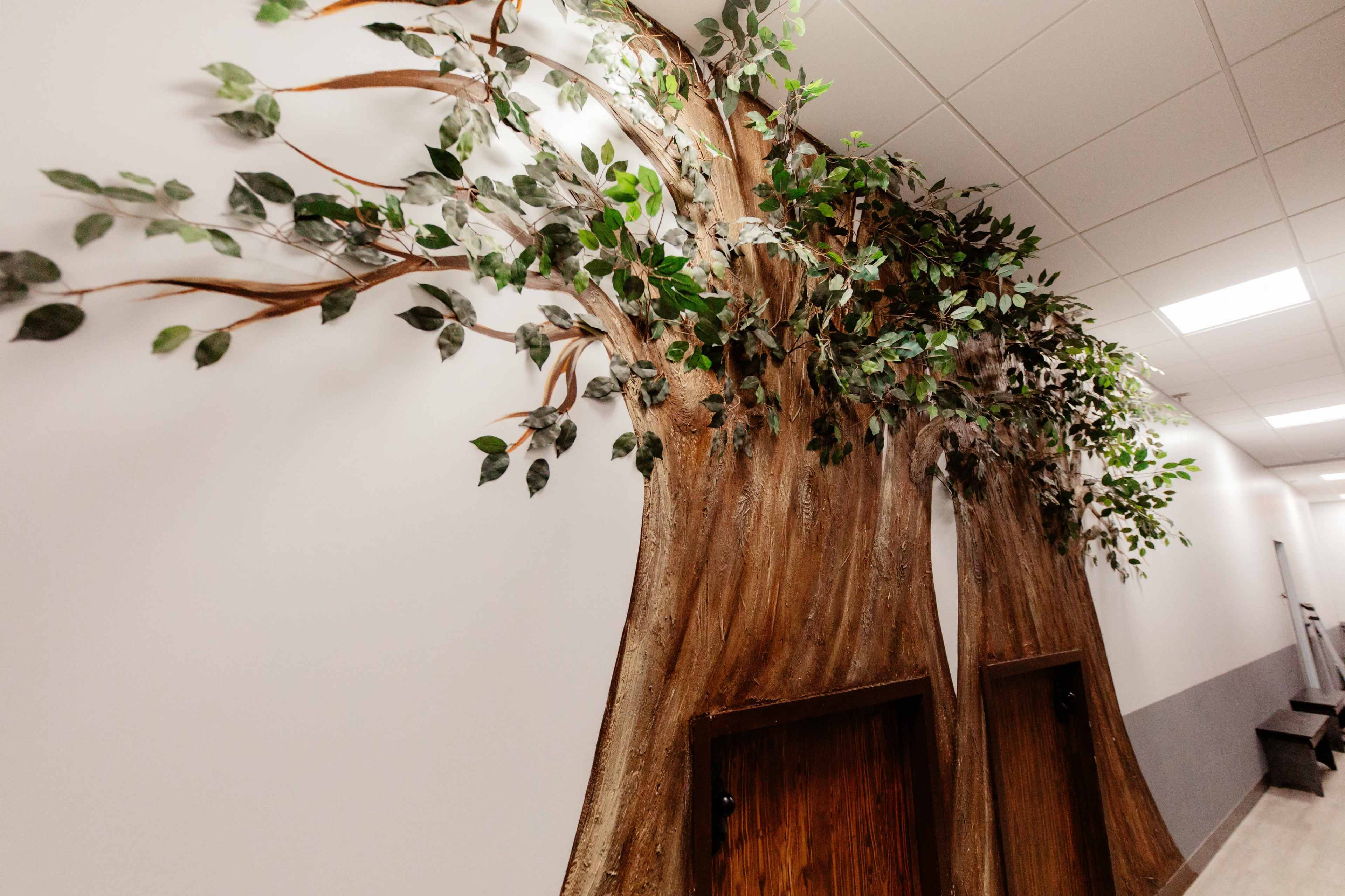 Beautiful Natural Lit Dance Studio- Great for Movement Classes Image in , Round Rock, TX