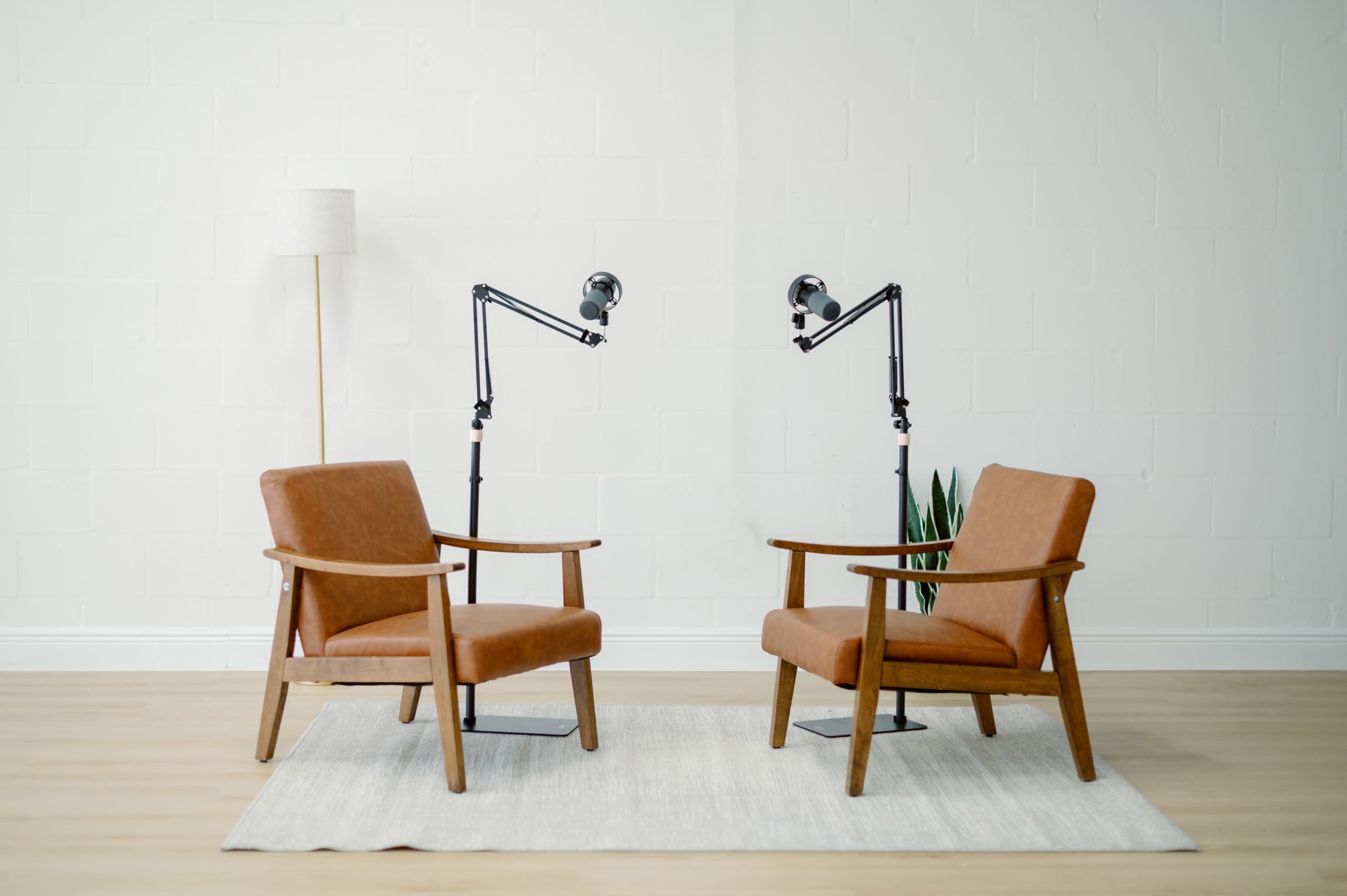 Two brown upholstered chairs are positioned facing each other on a light rug in a minimalist room with a floor lamp and a potted plant.