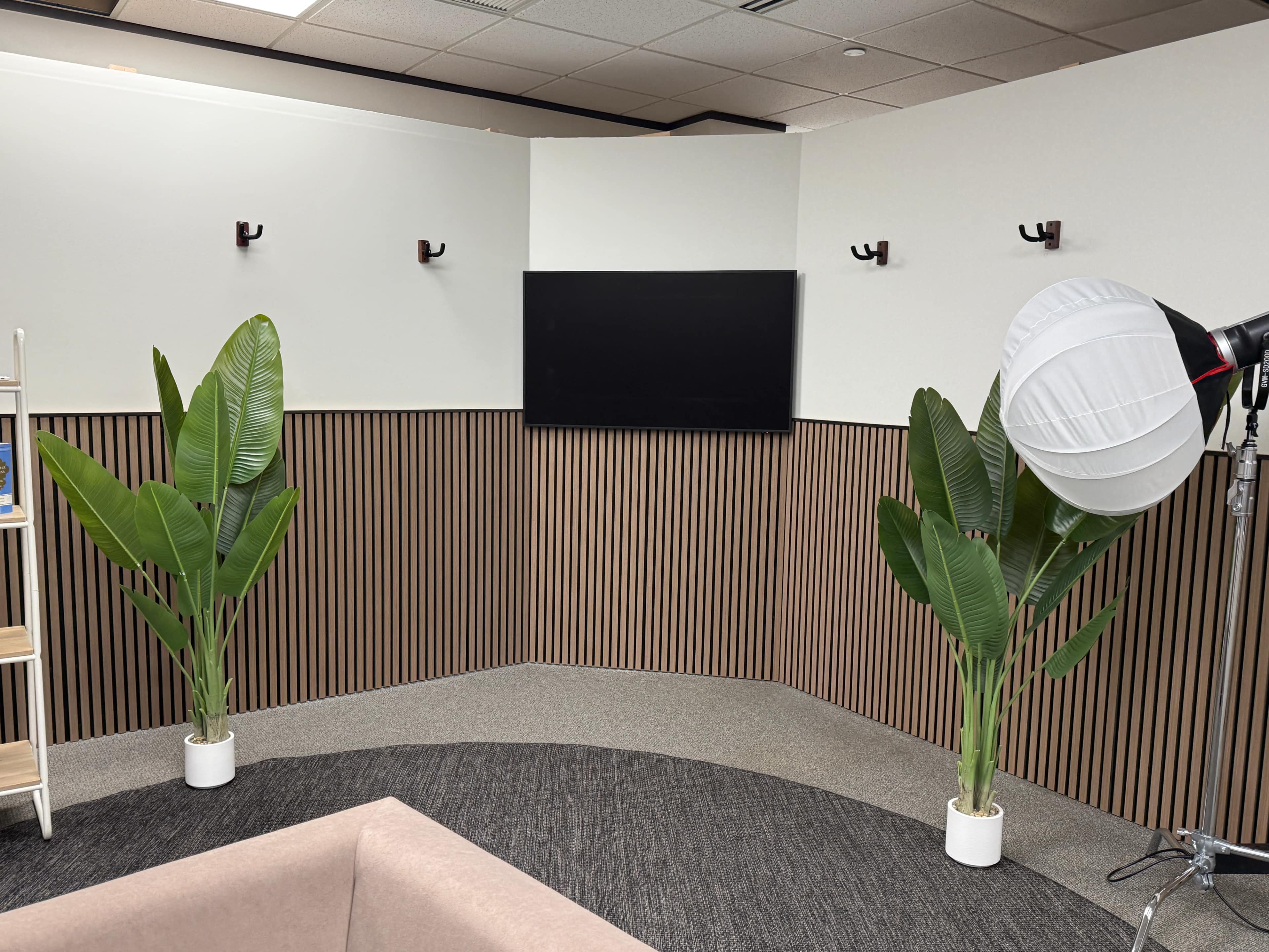 The image shows a corner of a modern office space featuring two large potted plants, a wall-mounted television, and a photography light with a diffuser.