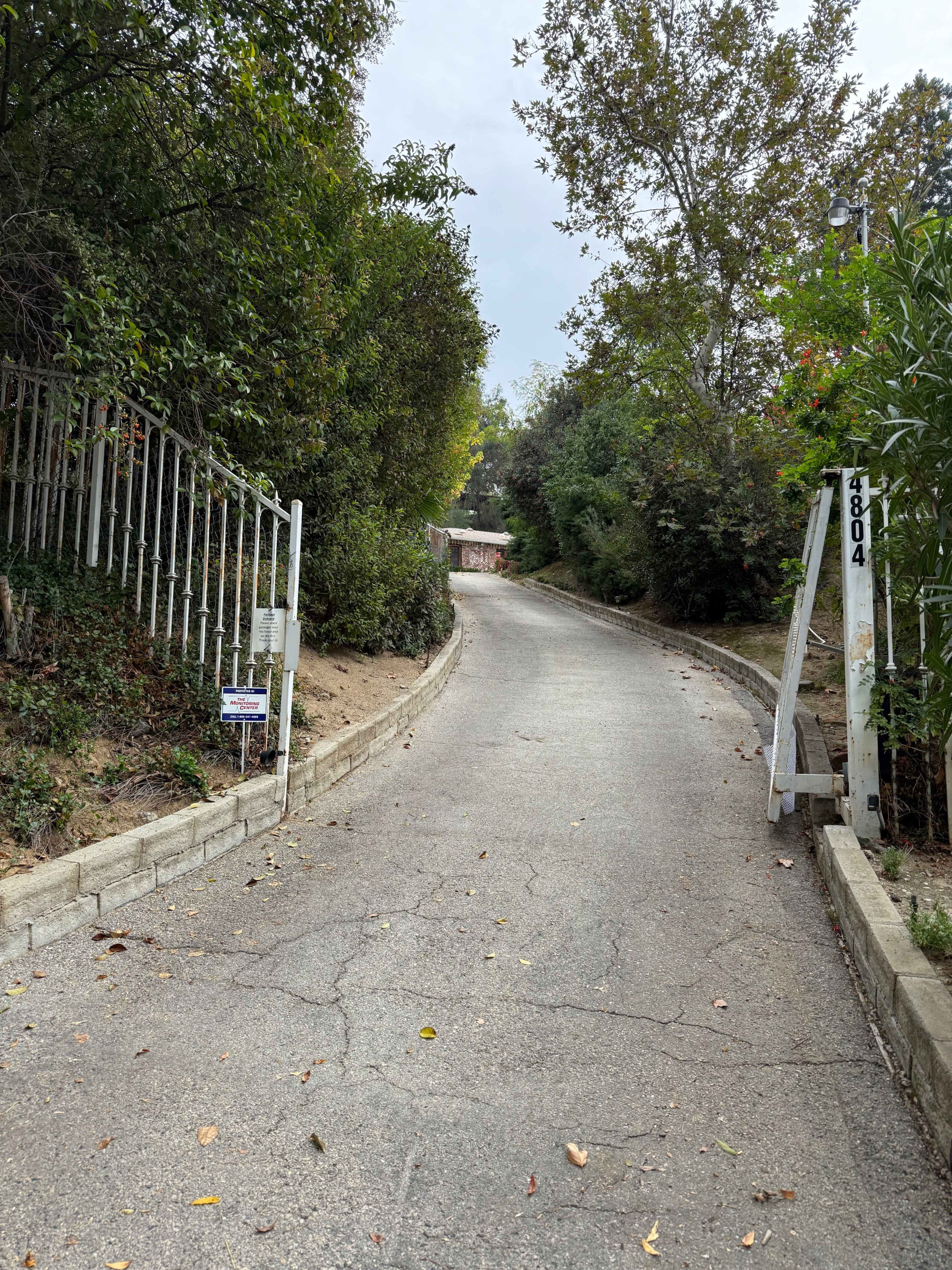 A winding asphalt driveway leads uphill, flanked by green trees and shrubs, towards a partially visible house at the end.
