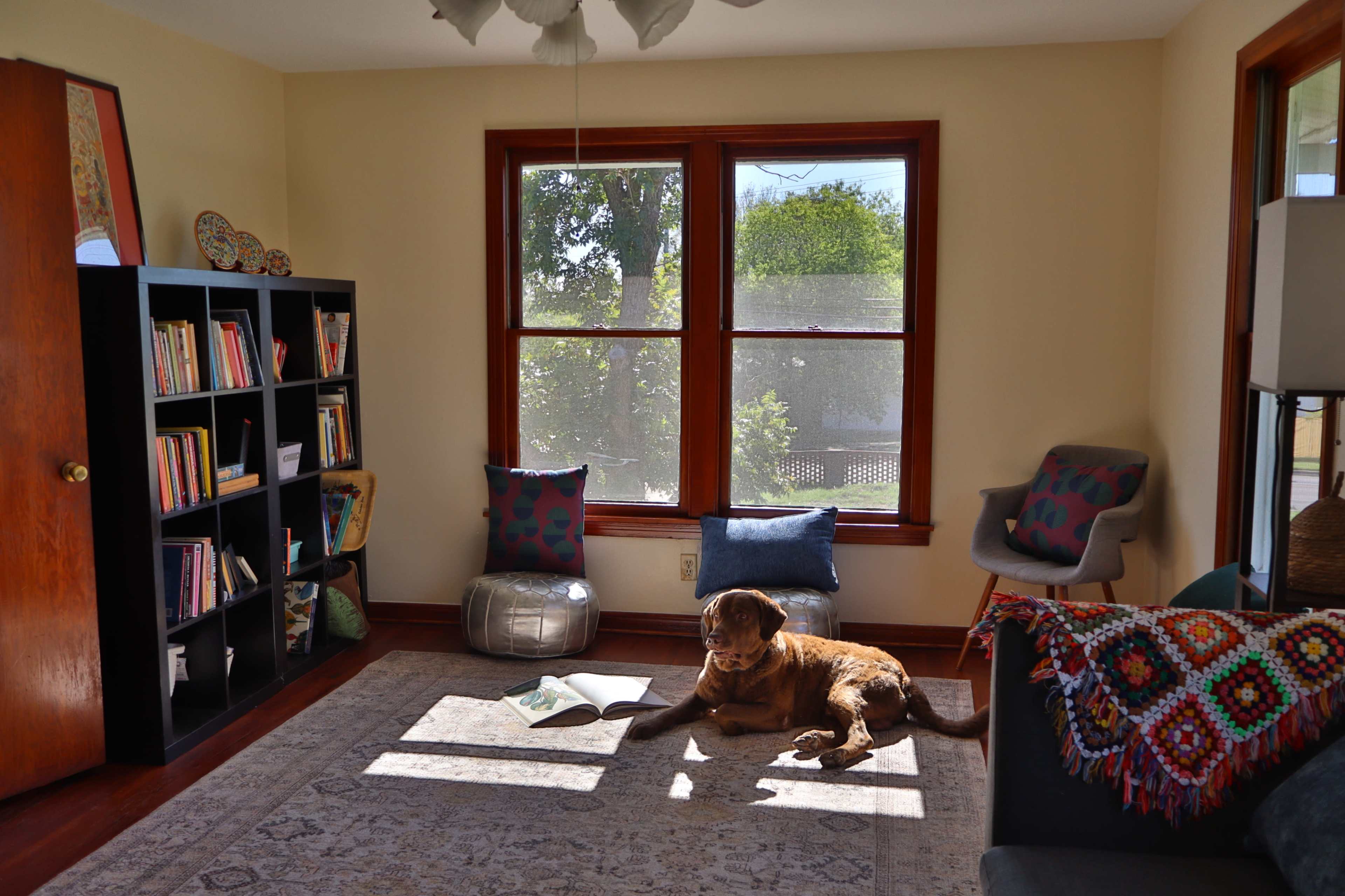 A dog lies on a rug in a well-lit living room with bookshelves, chairs, and a side table.