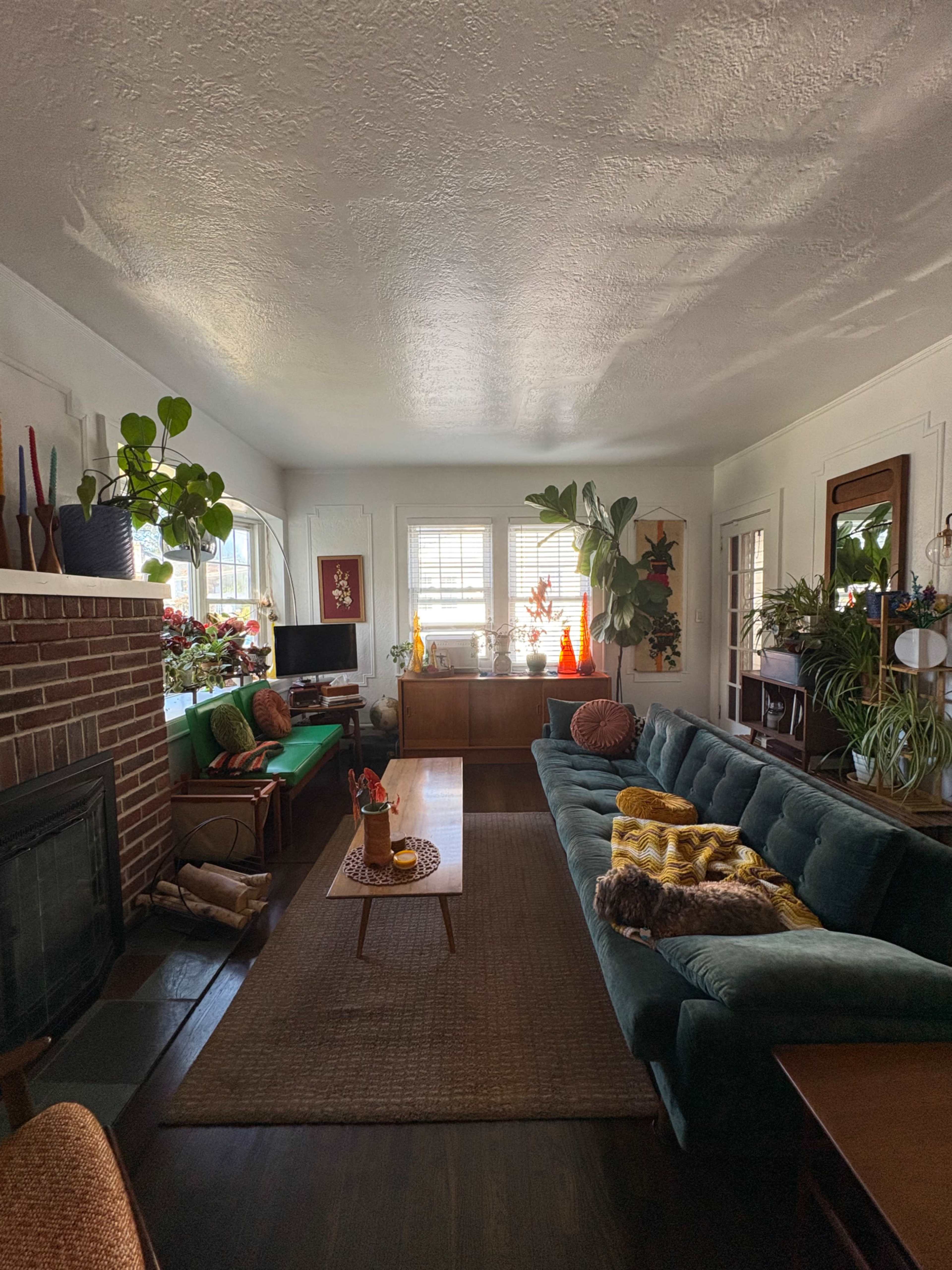 The image shows a cozy living room featuring a green sofa, a coffee table with decor items, and plants arranged on shelves and windowsills.
