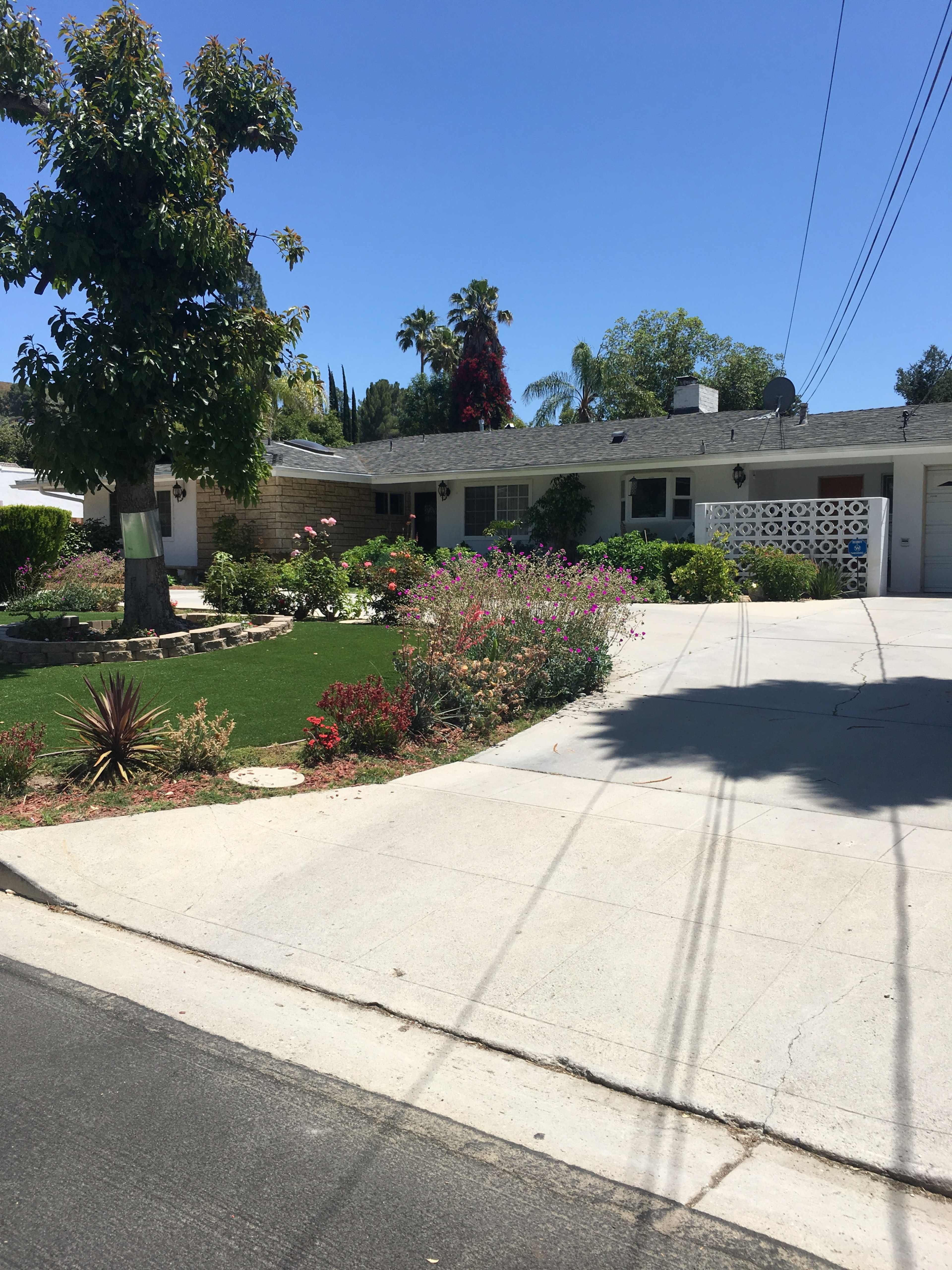 A single-story house with a landscaped front yard filled with various flowers and plants sits alongside a concrete driveway.