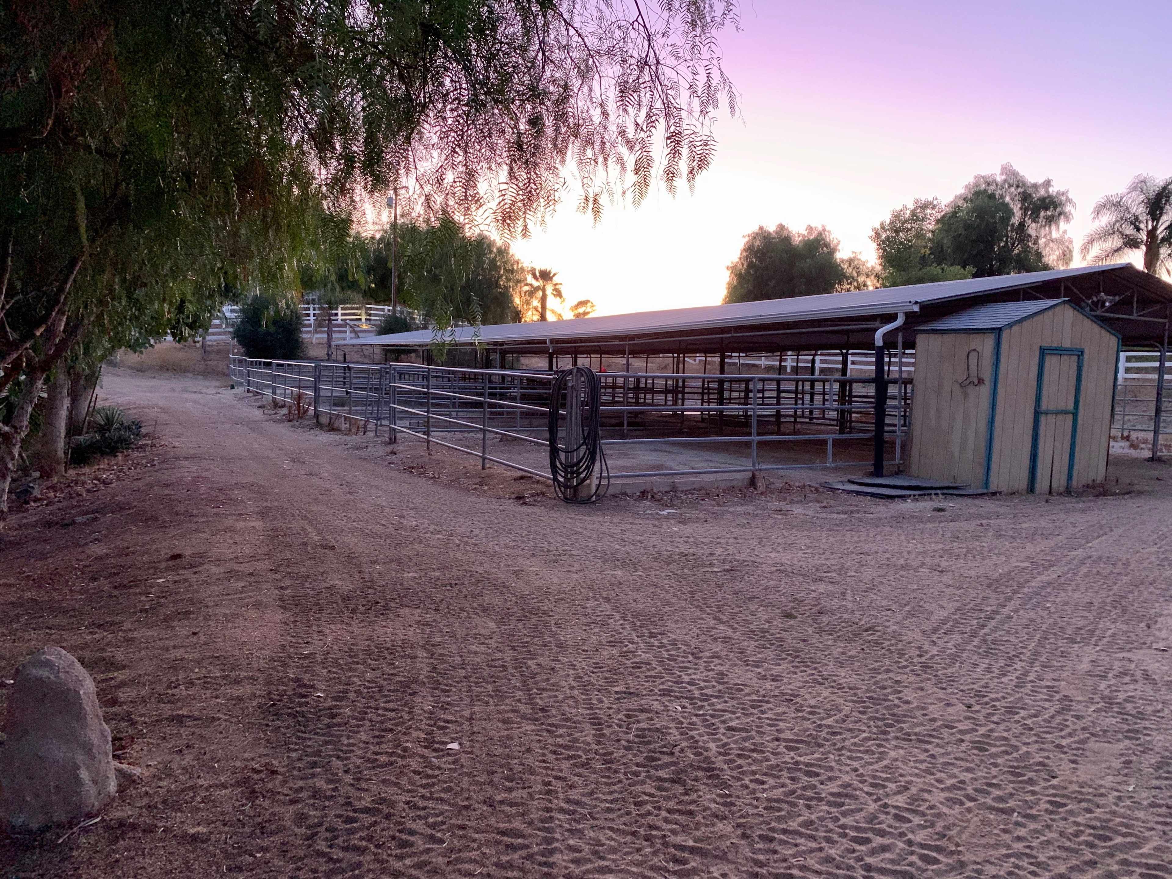 A dirt path leads to a covered horse barn surrounded by trees at dusk.