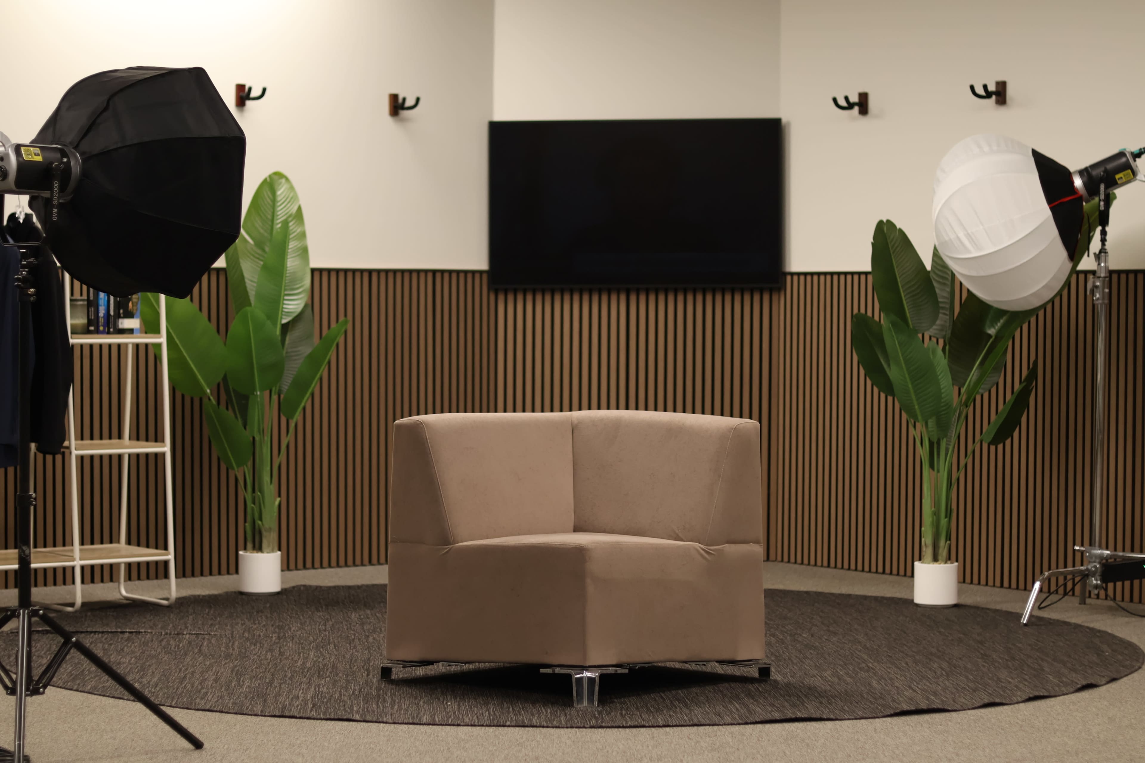 The image shows a minimalist studio setting featuring a brown corner sofa, two large studio lights, and potted plants, all against a backdrop of wooden slats and a blank television screen.