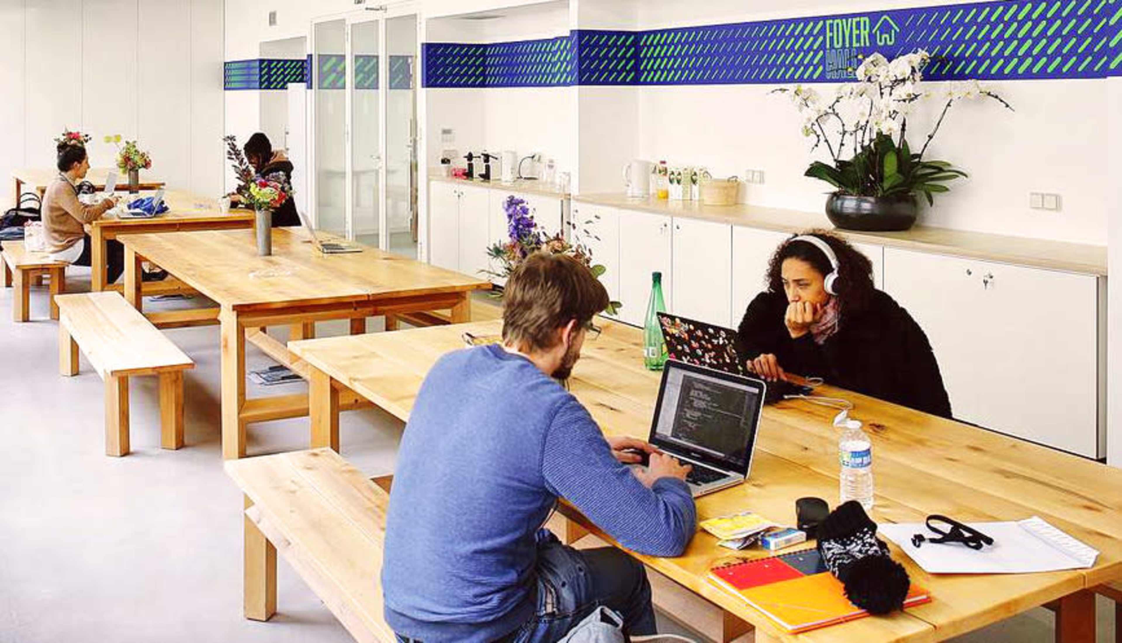 A group of people is working at wooden tables in a light-filled room with plants and desks.