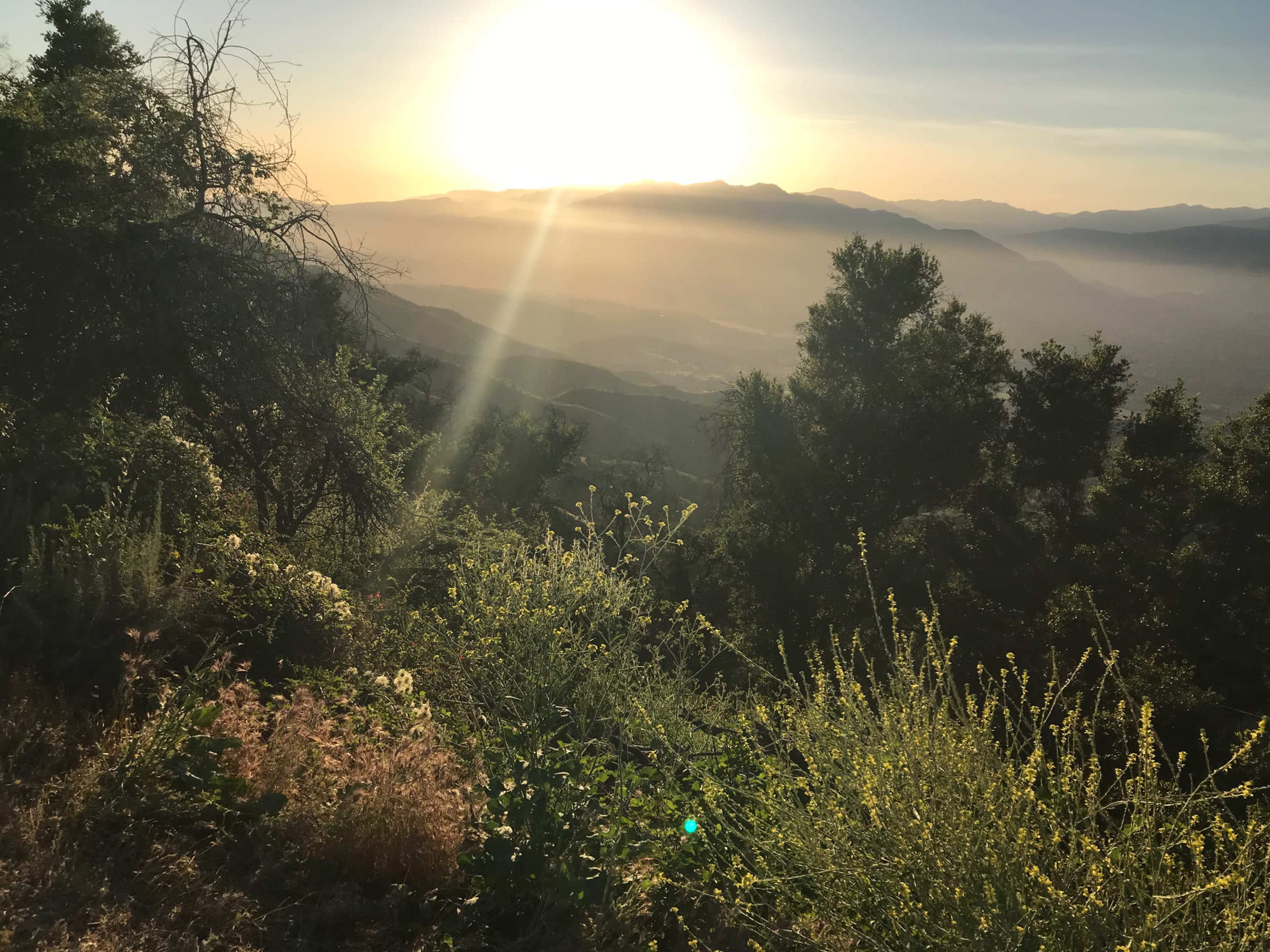 The sun rises over a misty mountain landscape, illuminating the greenery in the foreground.