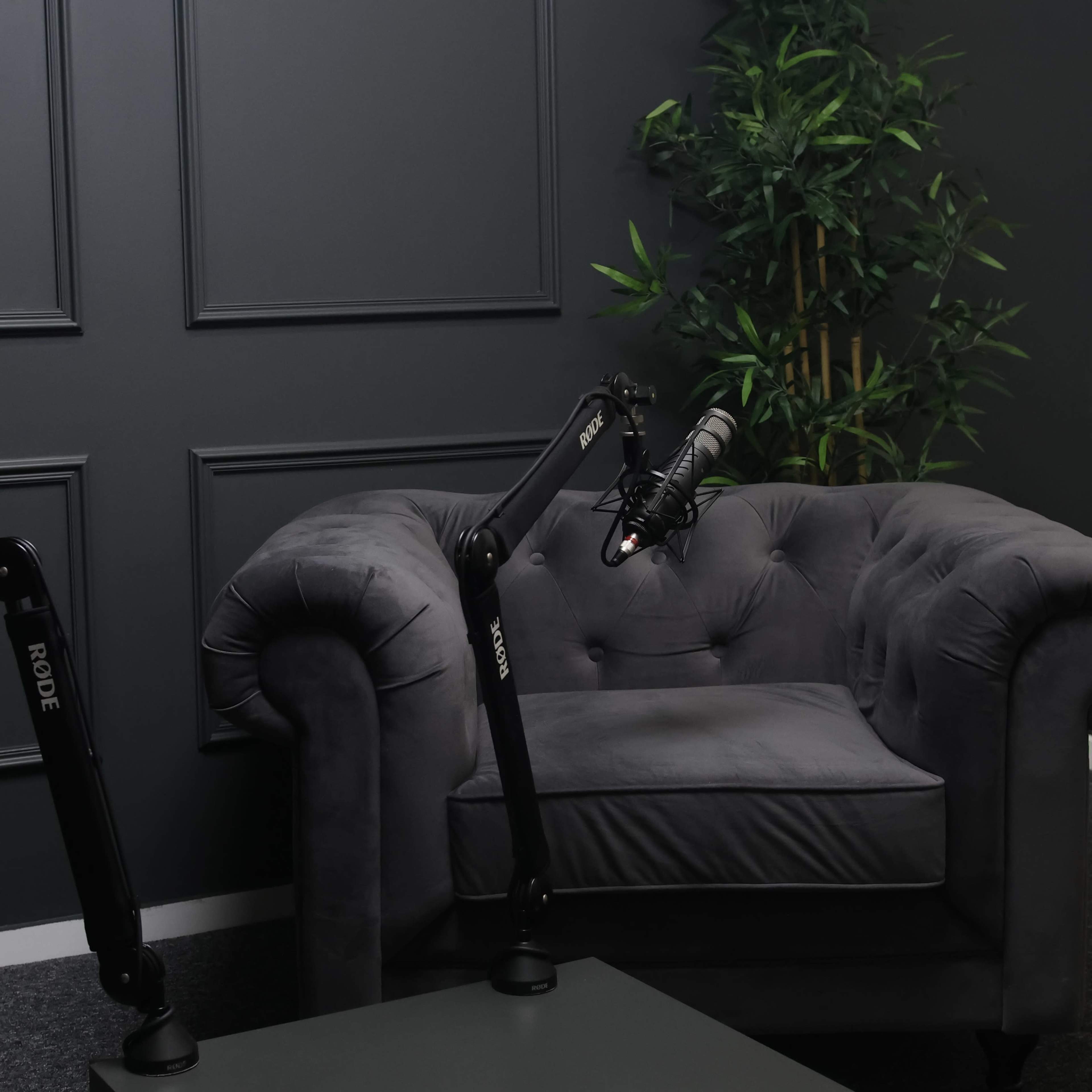 The image shows a modern recording setup featuring a gray tufted couch, two microphone arms, and a decorative green plant in a room with dark walls.