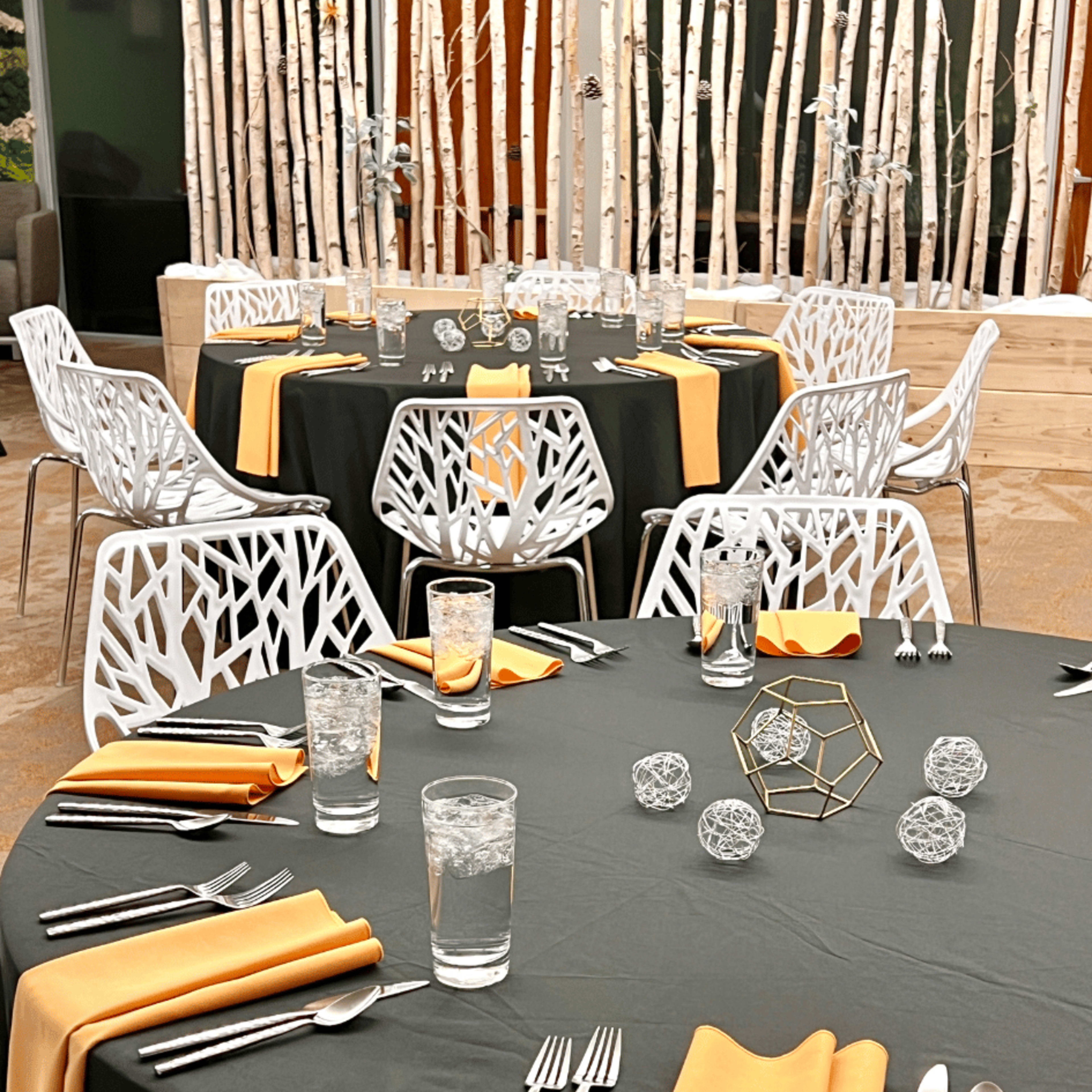 South Denver Corporate and Large Event Space with Ballroom Image in Centennial, Centennial, CO