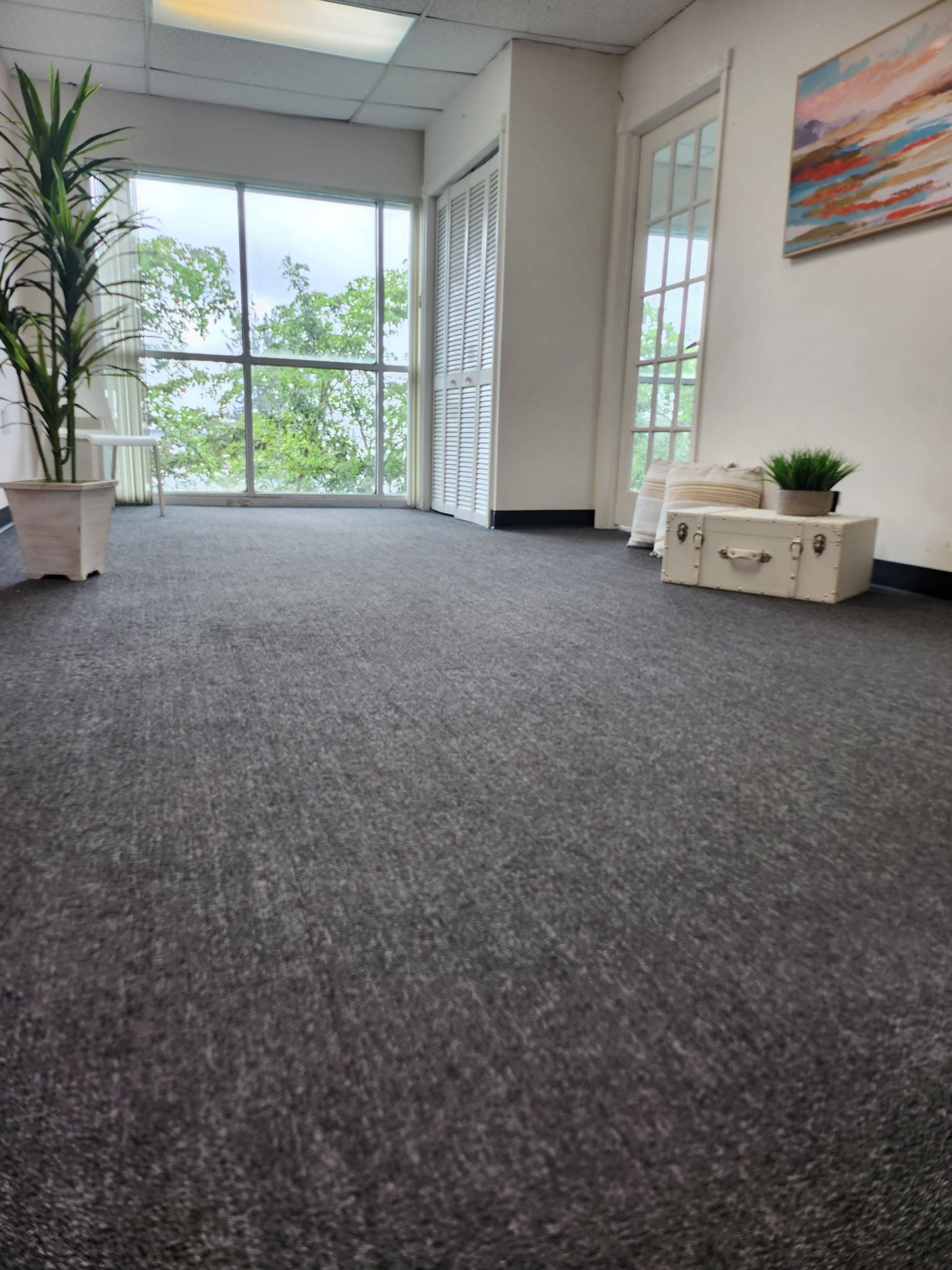A bright, carpeted room with a large window overlooking greenery, featuring a potted plant and a decorative box.