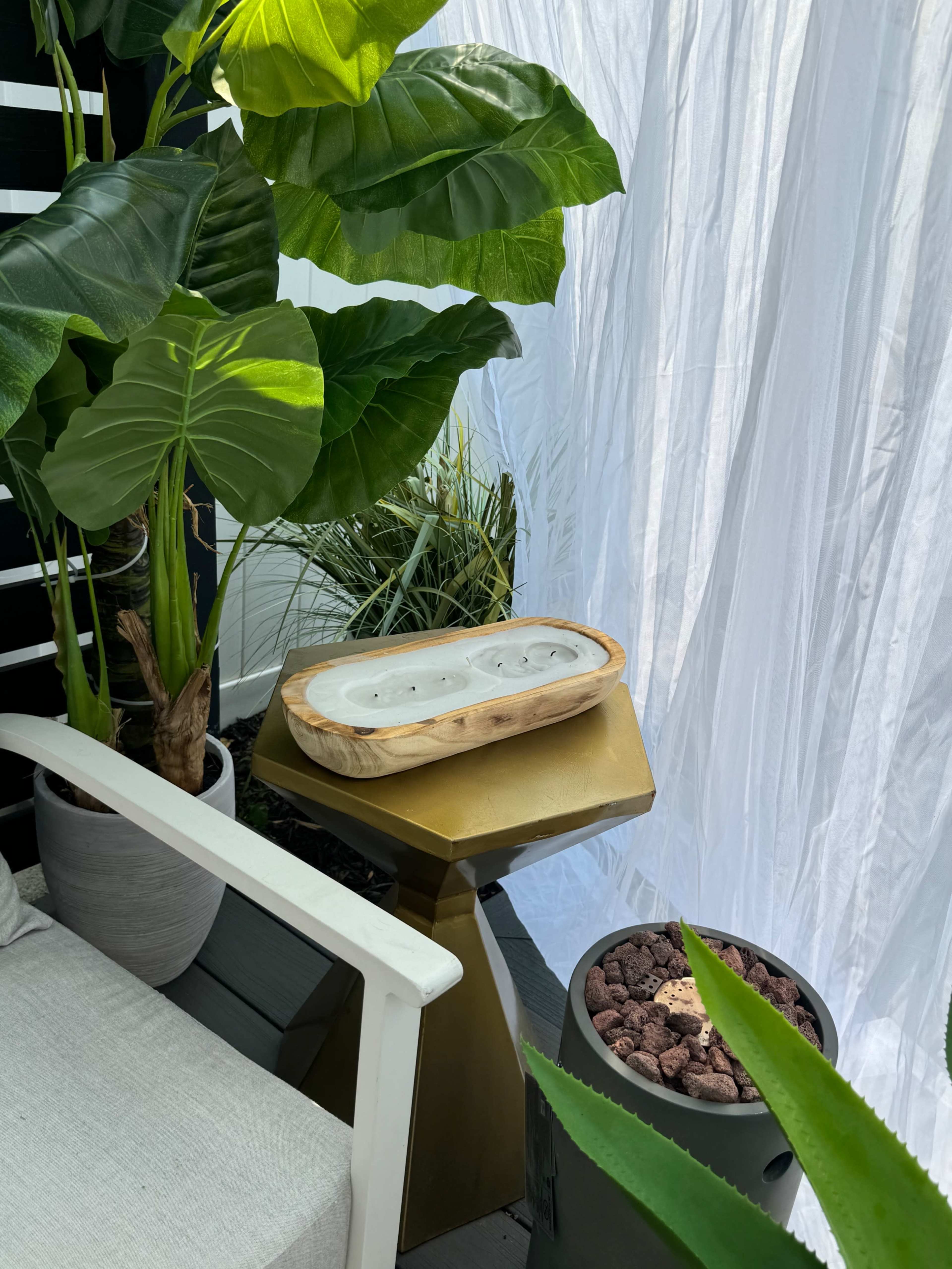A wooden planter with three succulents rests on a golden hexagonal table surrounded by various green plants and a white curtain.