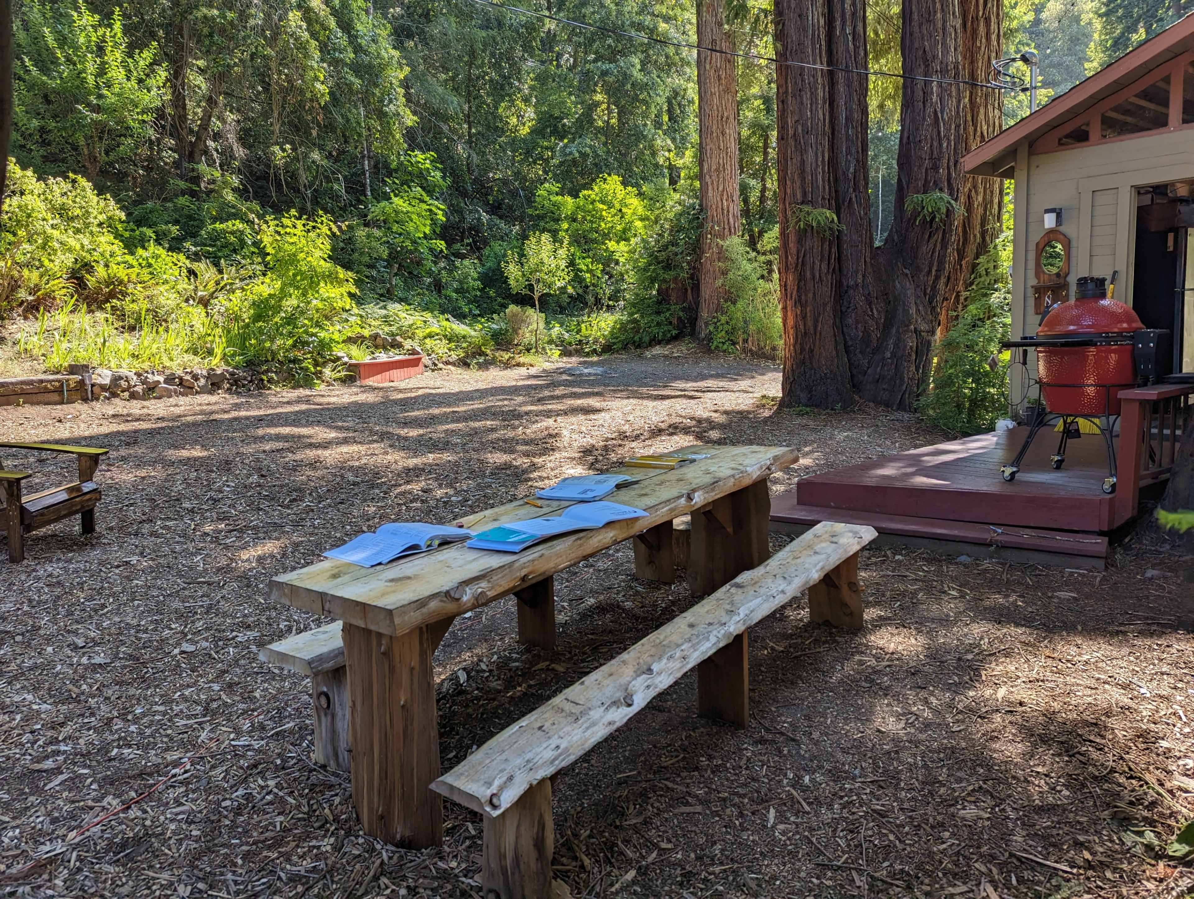 A wooden picnic table is set in a clearing surrounded by tall trees, with an outdoor grill nearby.