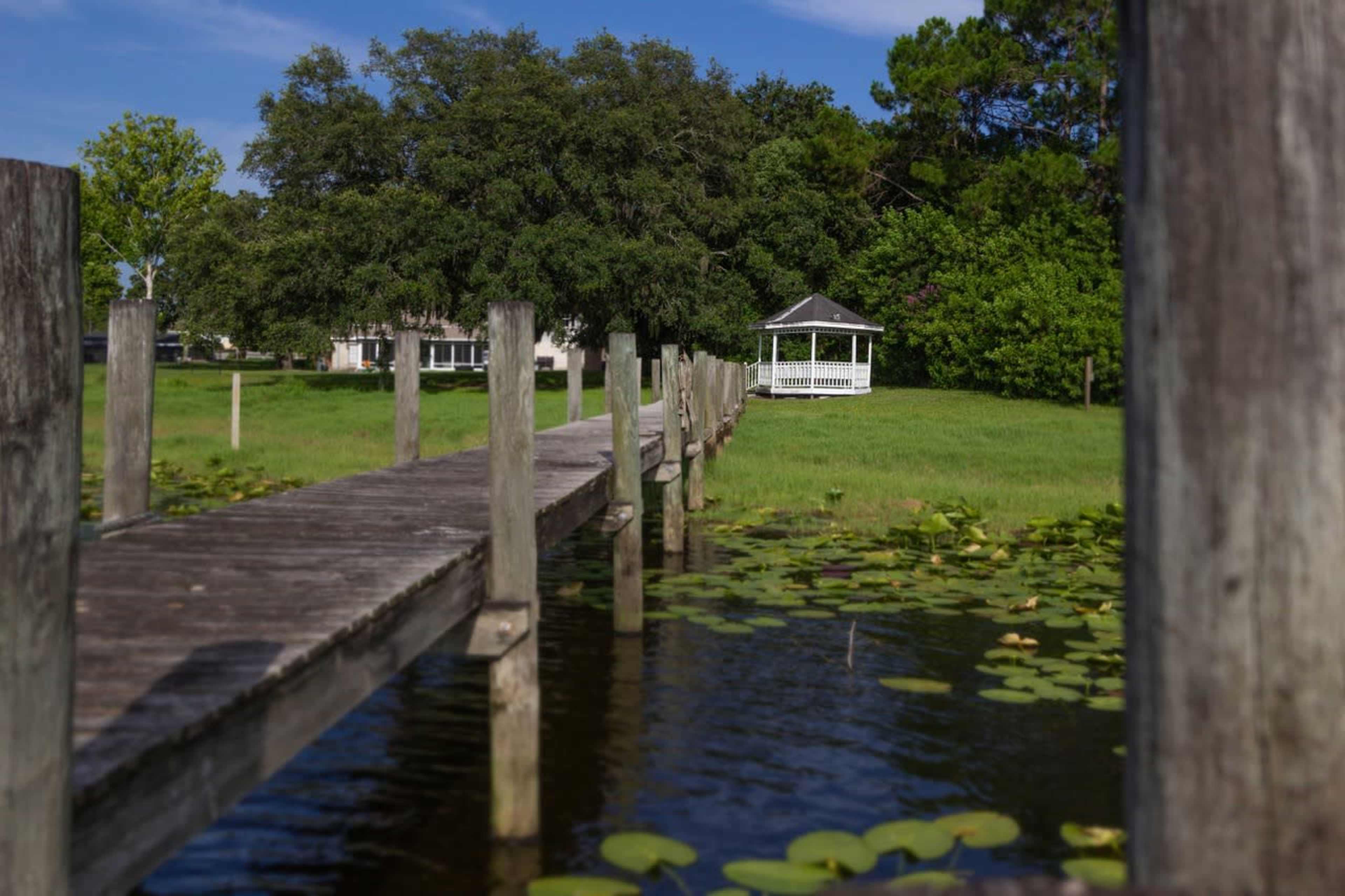 A wooden dock stretches over a calm body of water, leading to a white gazebo surrounded by greenery and lily pads.