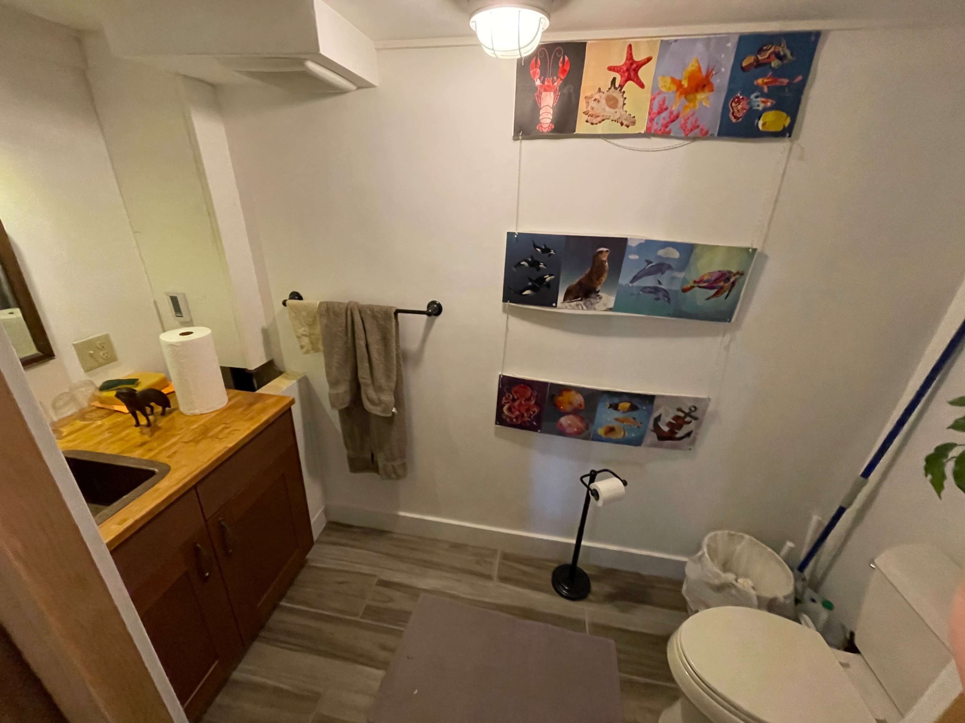 A small bathroom with a wooden countertop, a towel hanging on a rack, a white toilet, and a series of colorful marine-themed artworks on the wall.