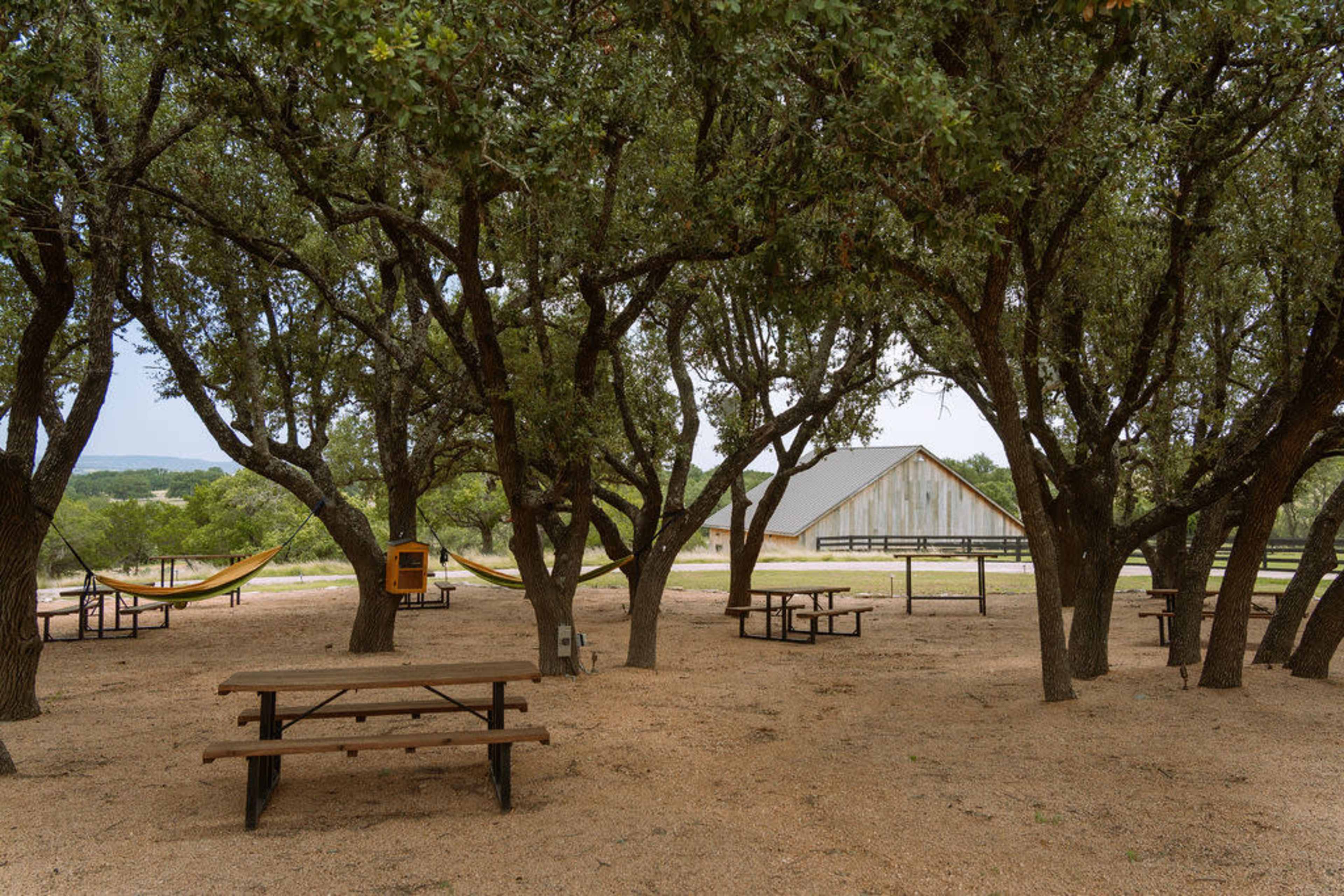 The scene features a shaded area with several picnic tables and hammocks hanging between trees, alongside a building in the background.