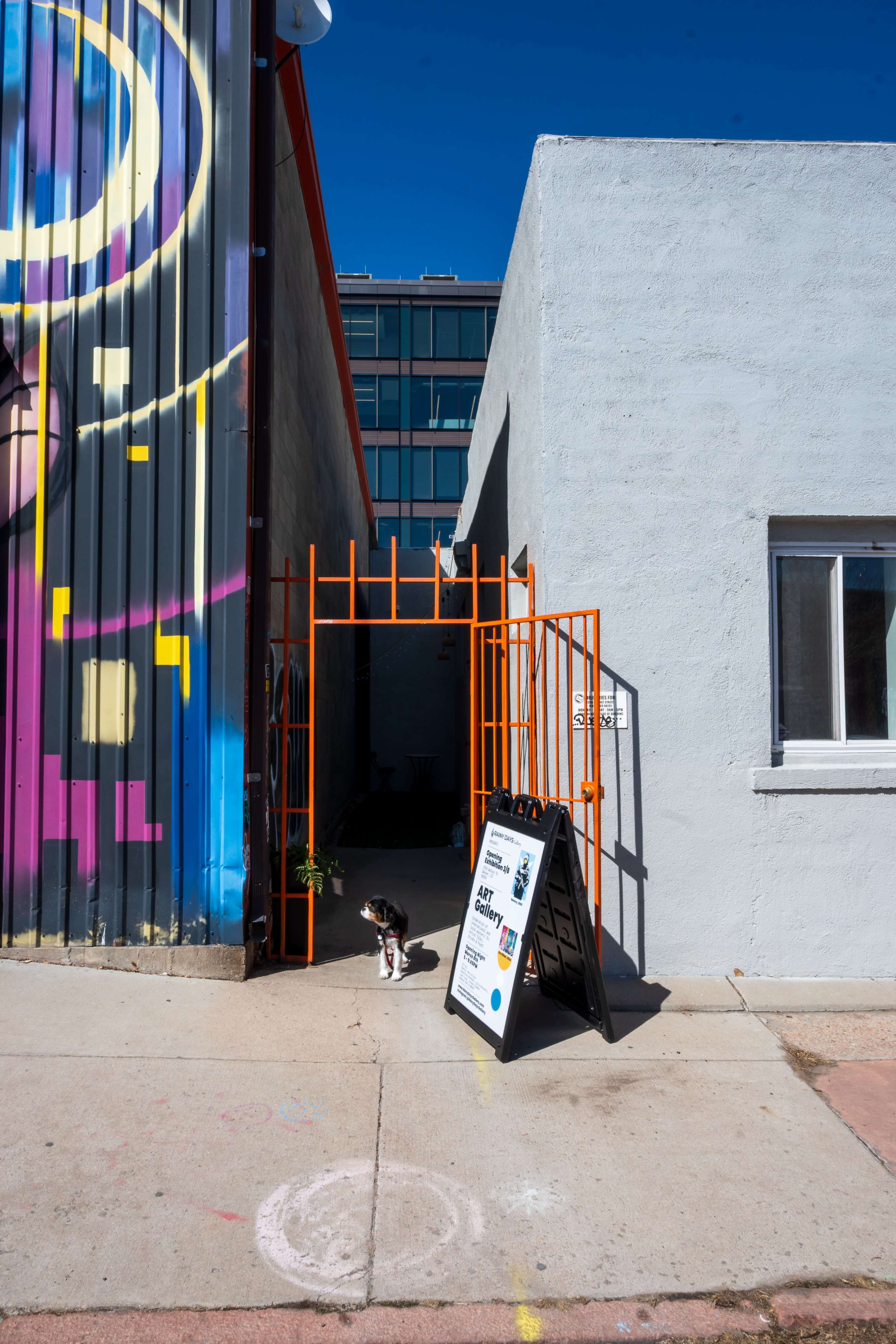 Downtown Art Gallery Image in Five Points, Denver, CO
