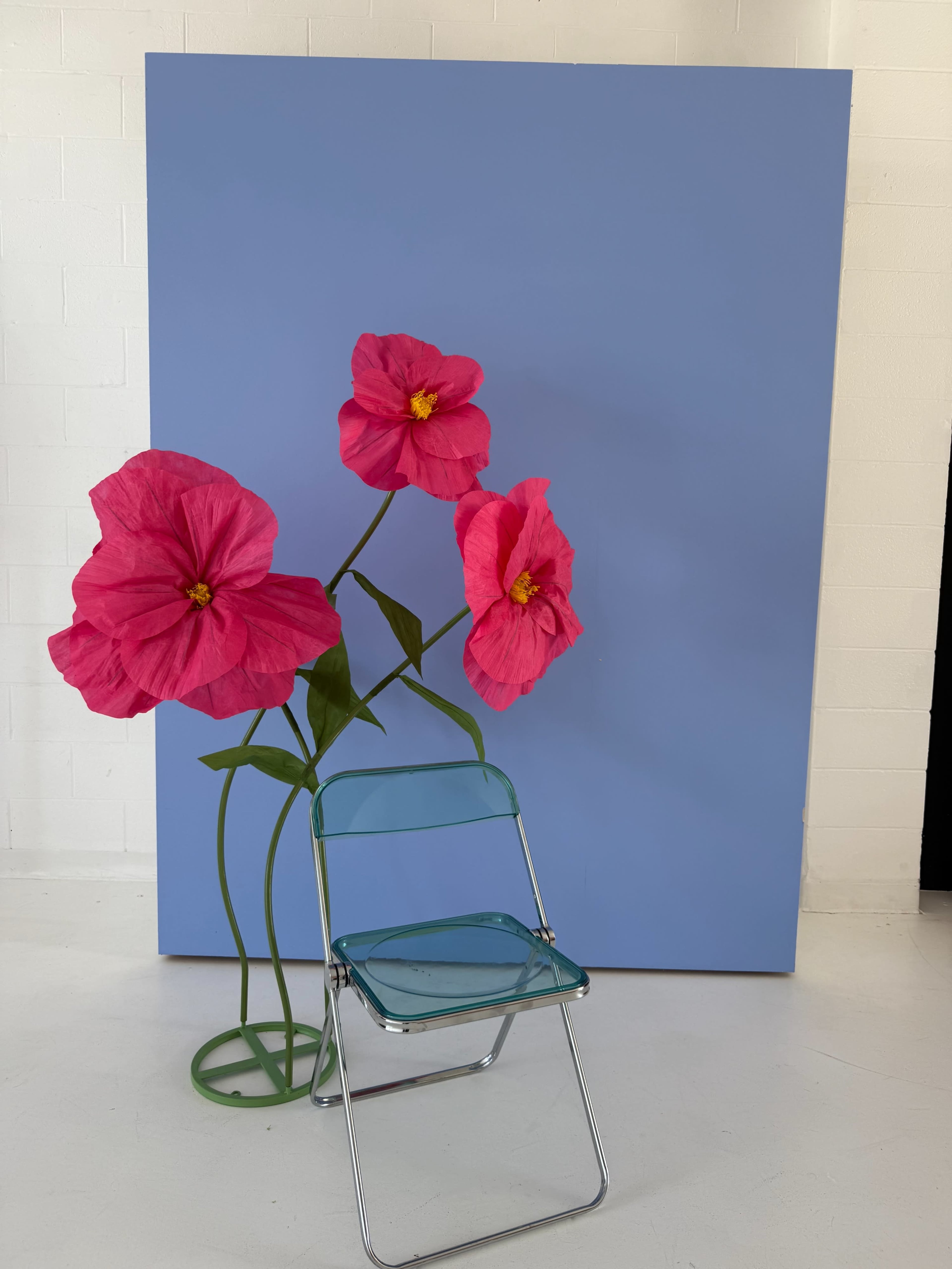 A blue backdrop features oversized pink flowers beside a transparent, lightweight chair.