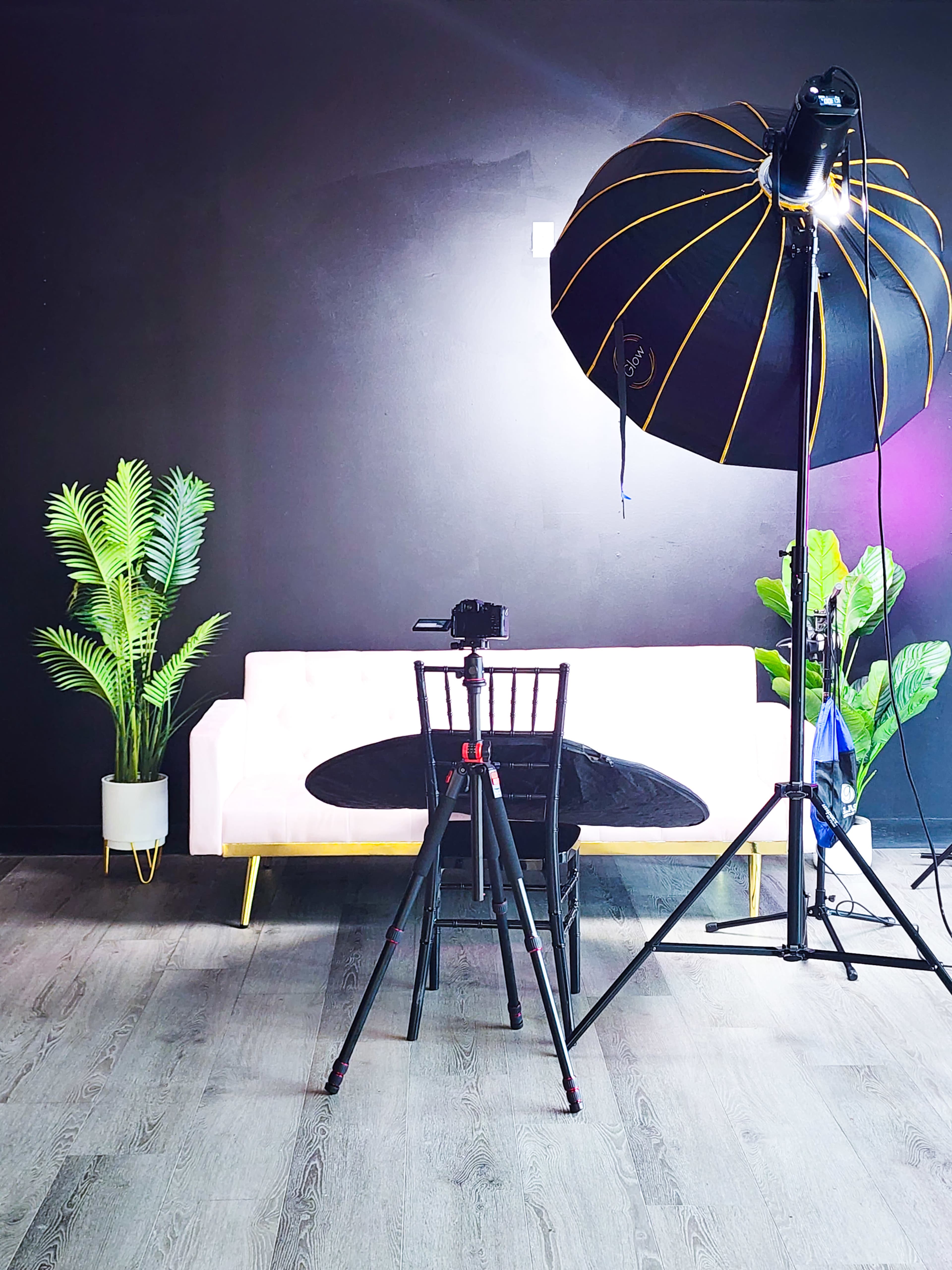 A photography setup featuring a softbox light above a black table, a tripod with a camera, a pink sofa against a black wall, and decorative plants.