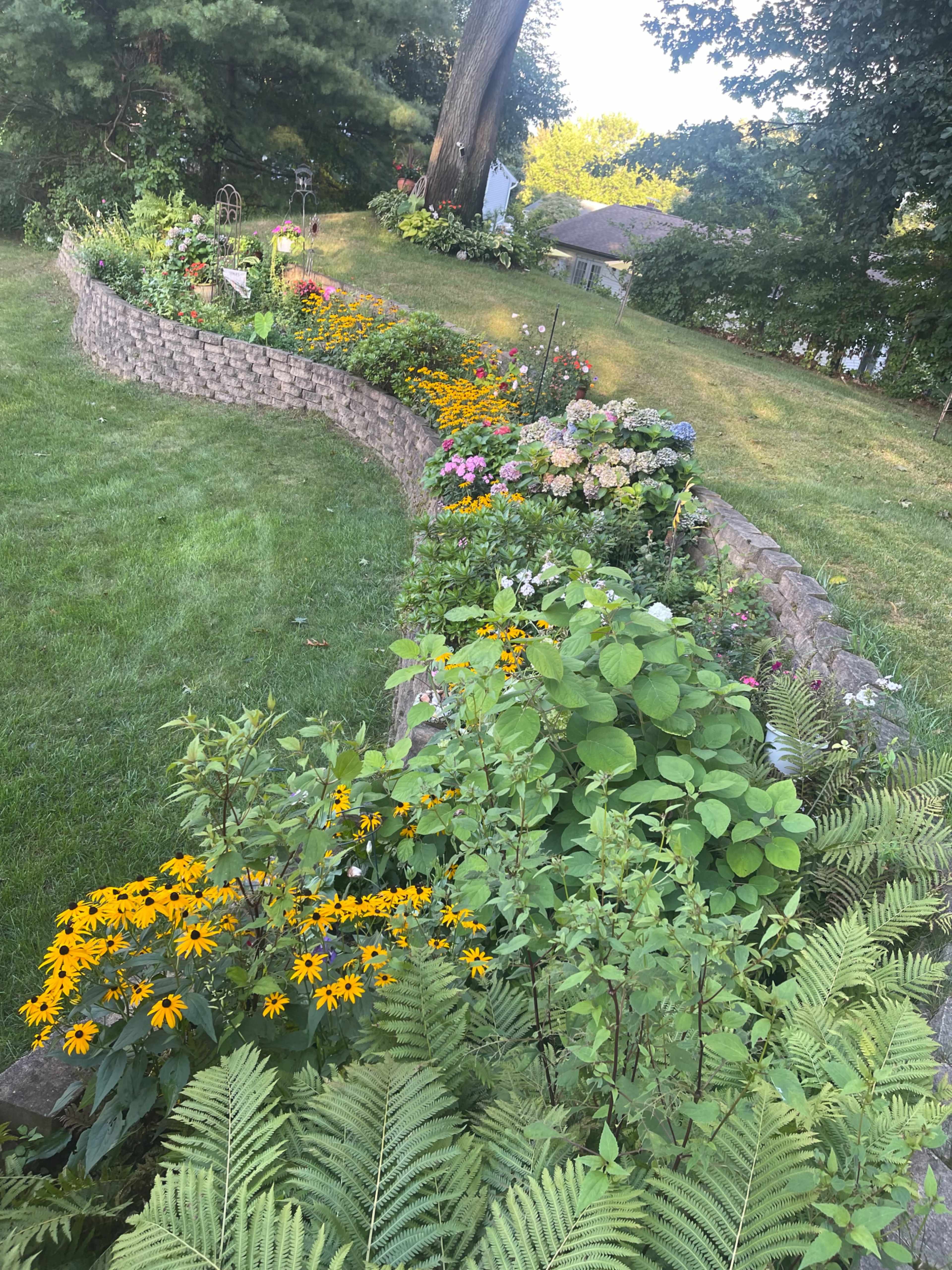A curved stone wall borders a vibrant flower bed filled with various colorful plants and flowers in a residential yard.