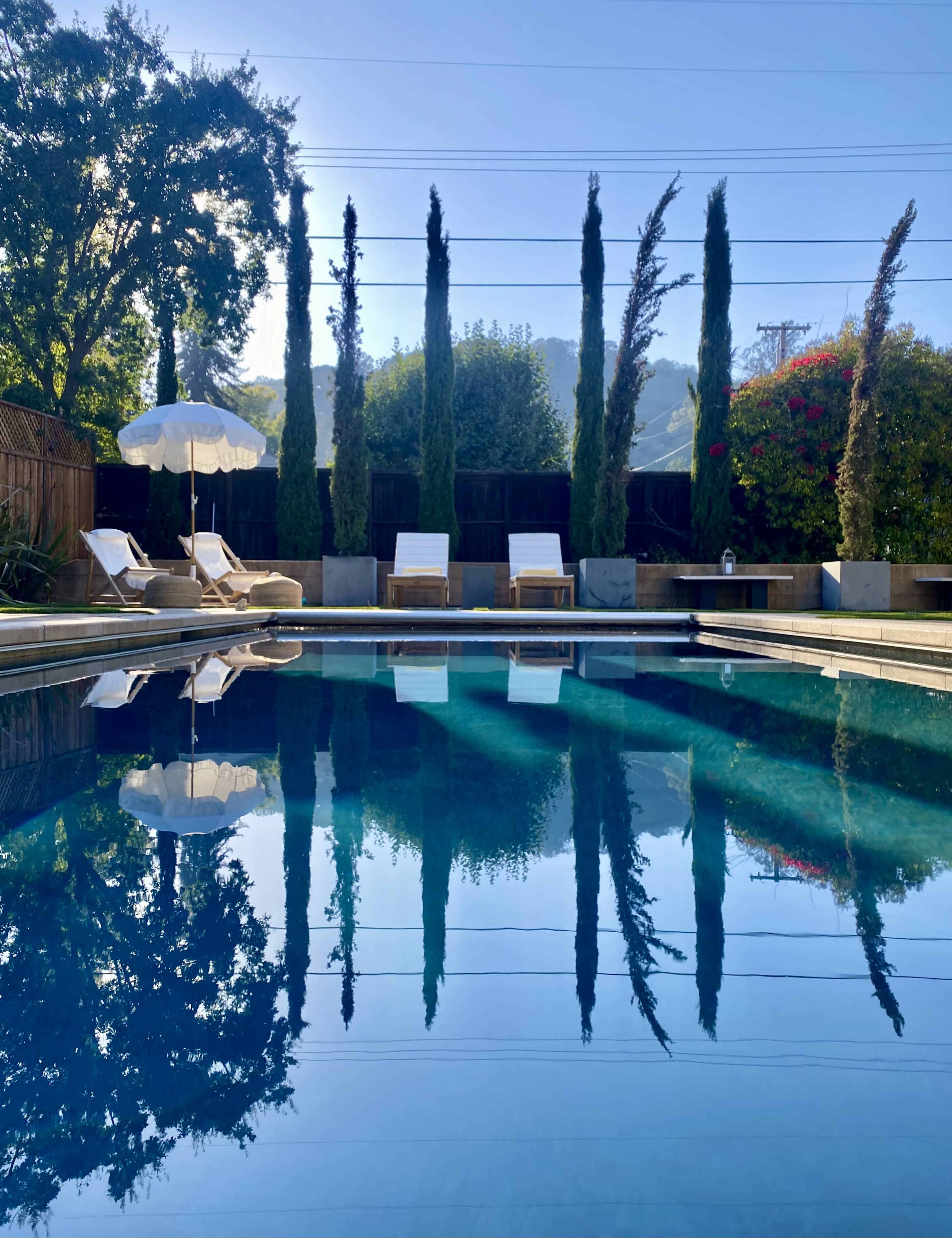 A tranquil pool reflects tall, slender trees and lounge chairs under a clear blue sky.